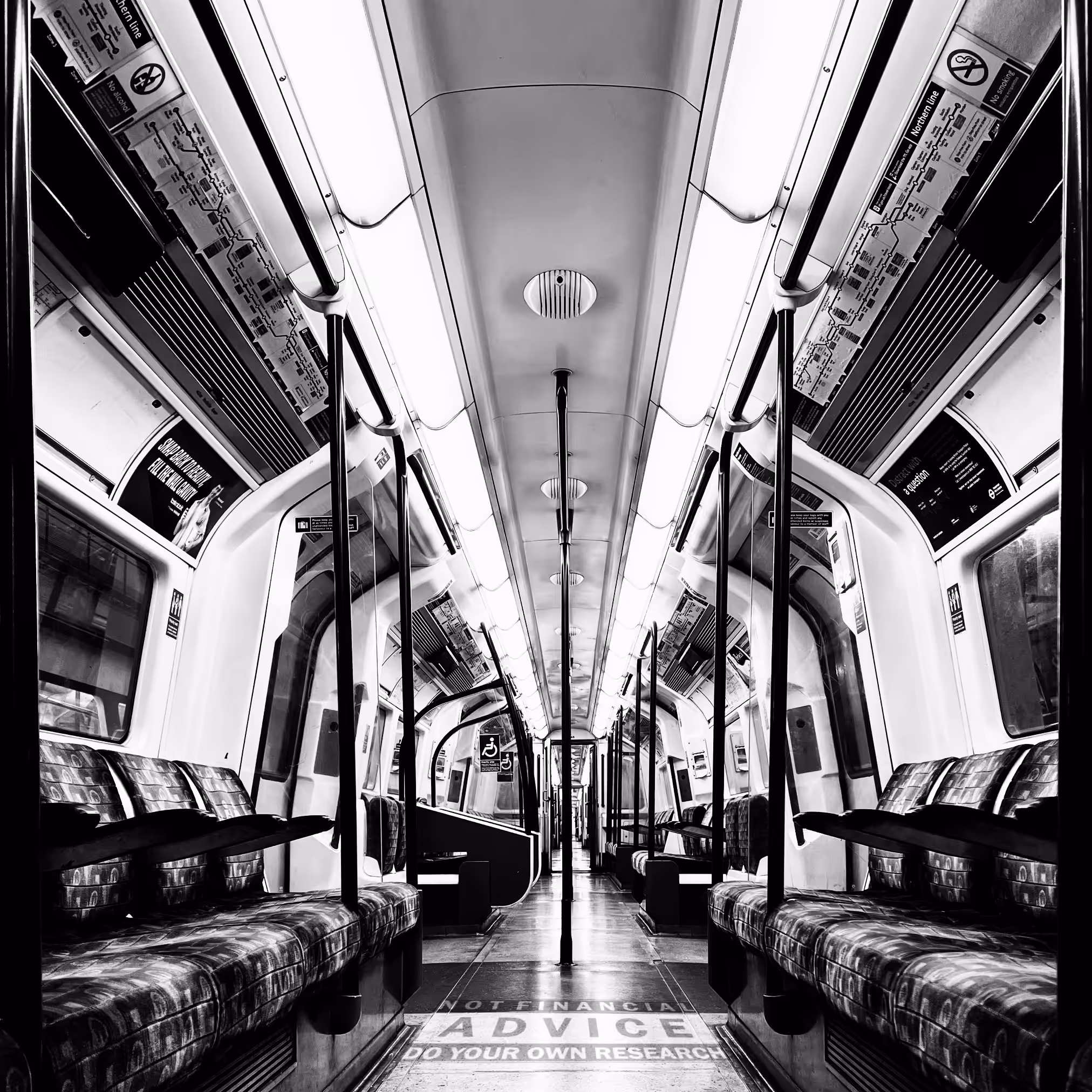 The Black Line