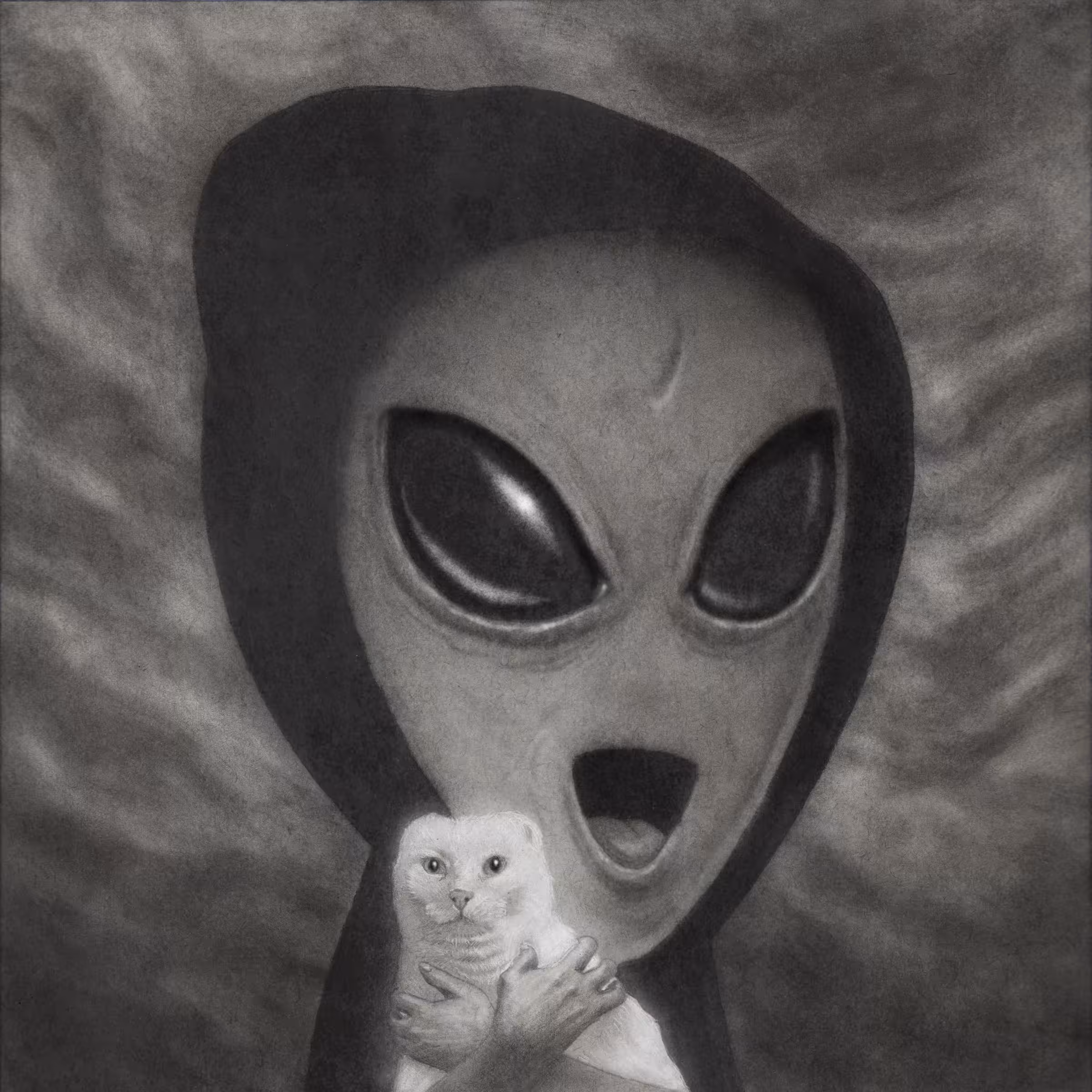 Shawry's Visitor