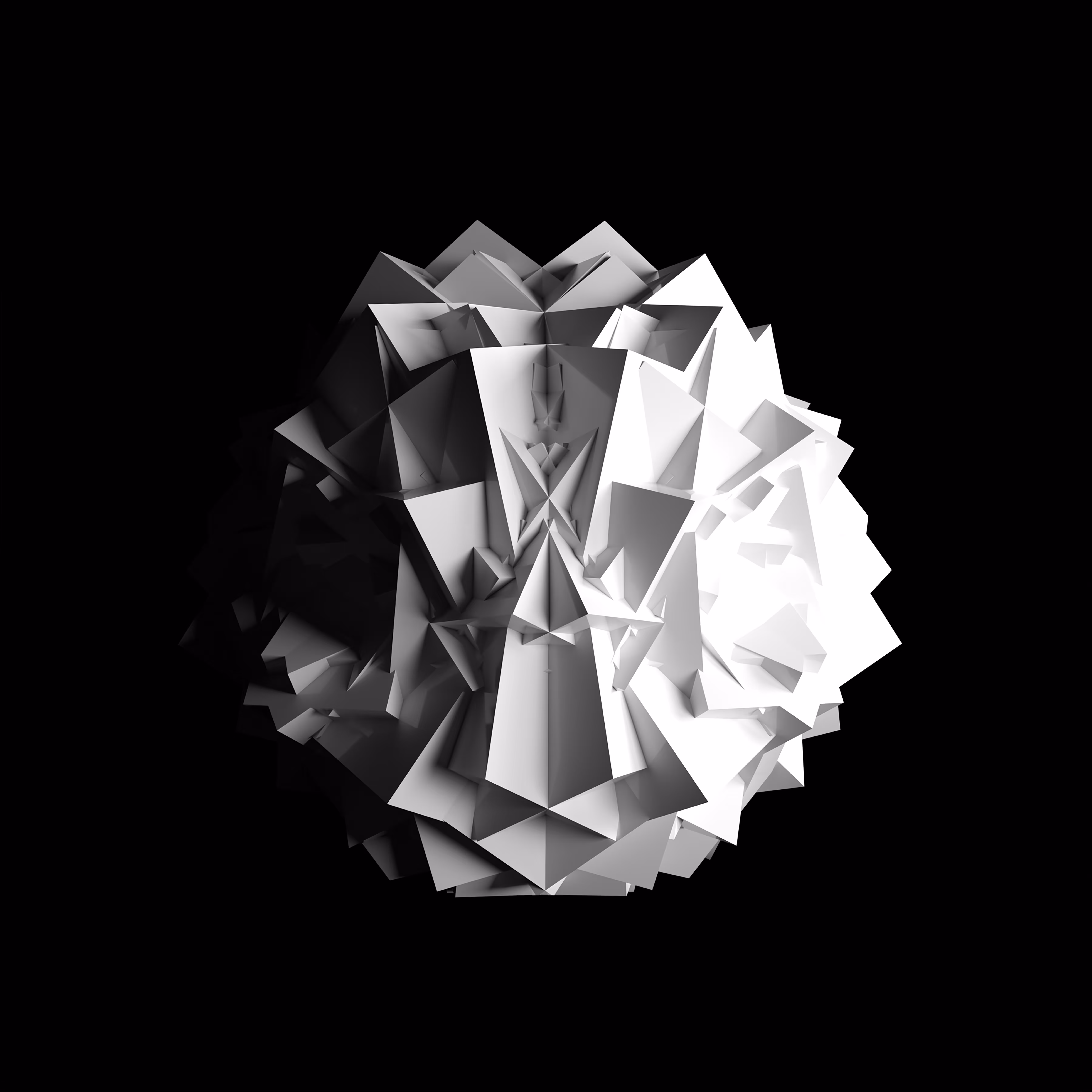 Ark 02