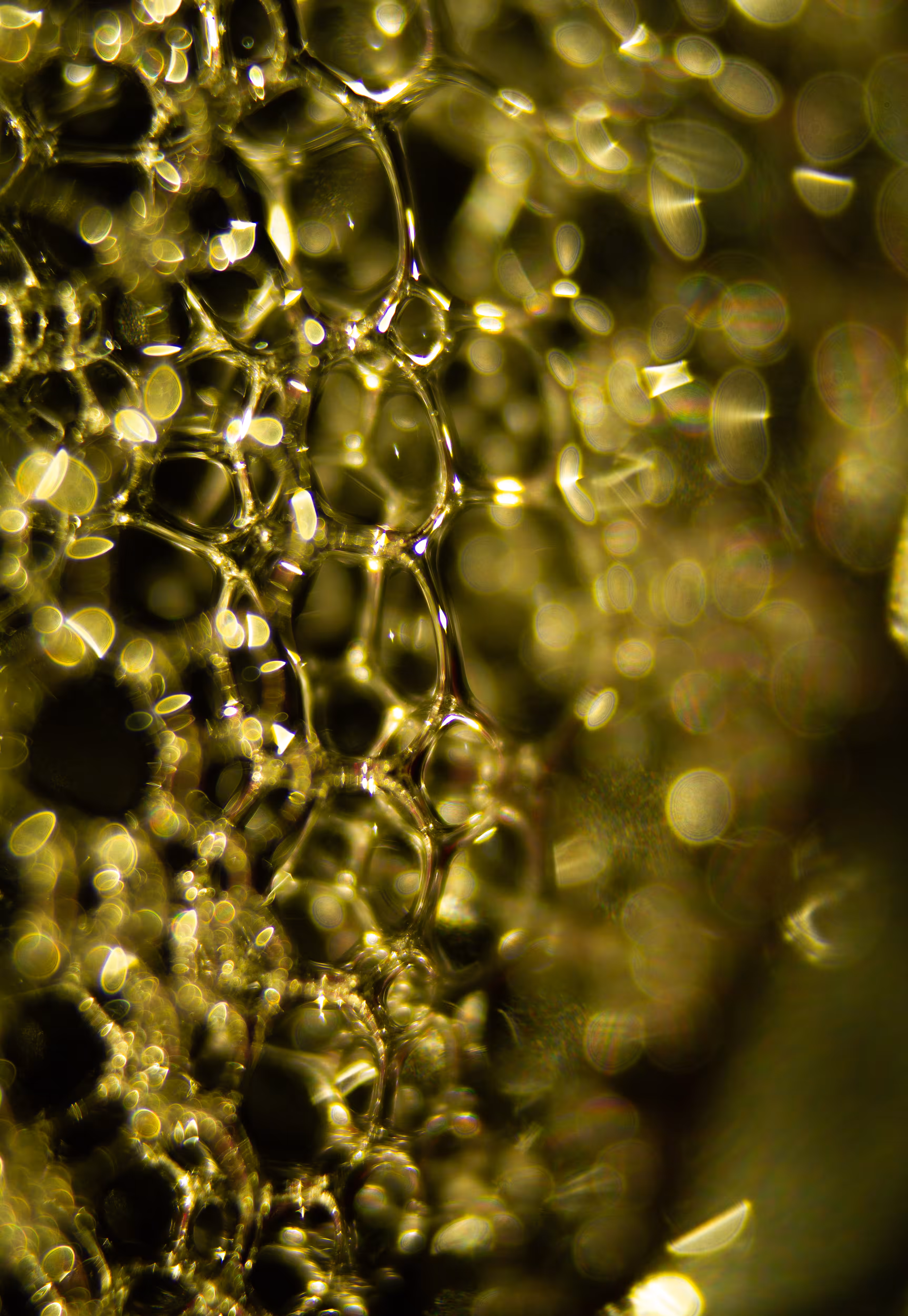 #138 Bubbles