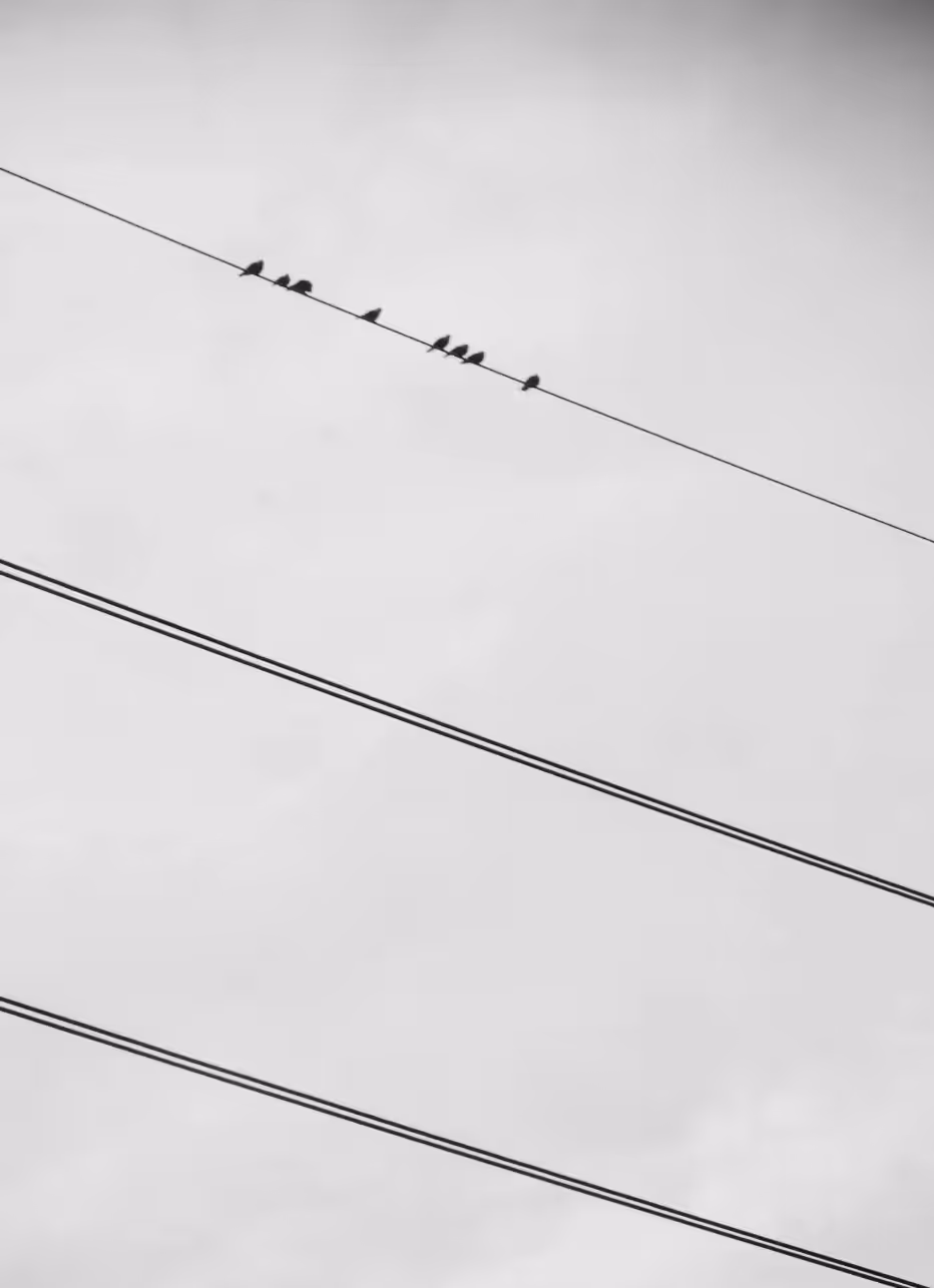 Musical notes..