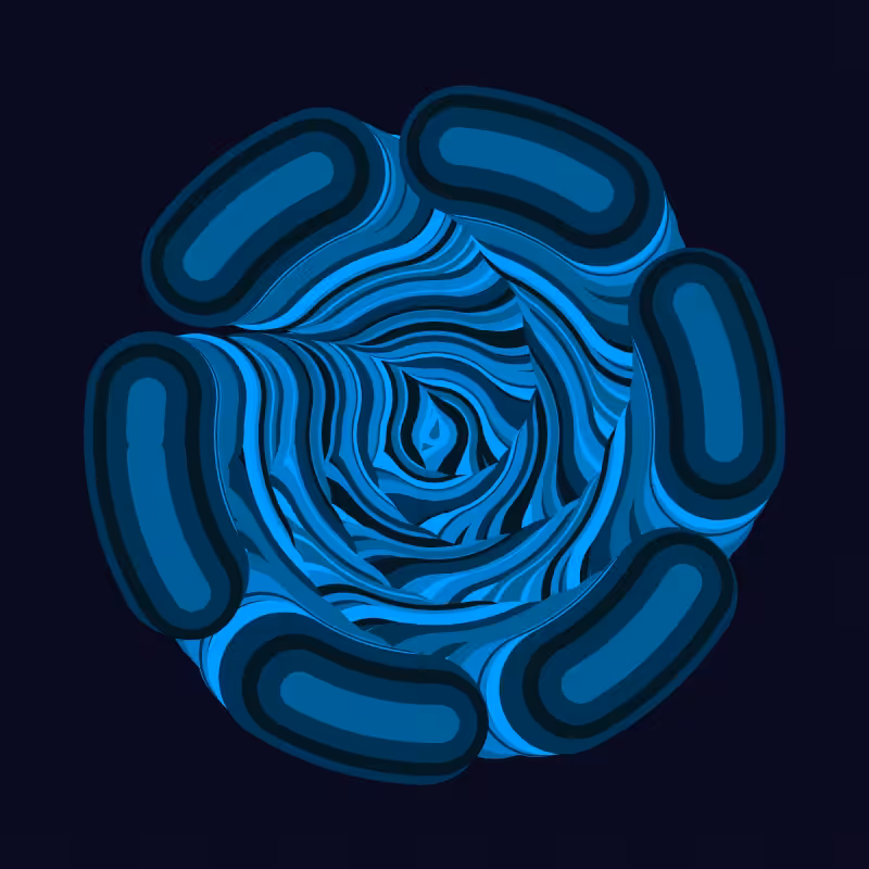 Rabbit hole #21