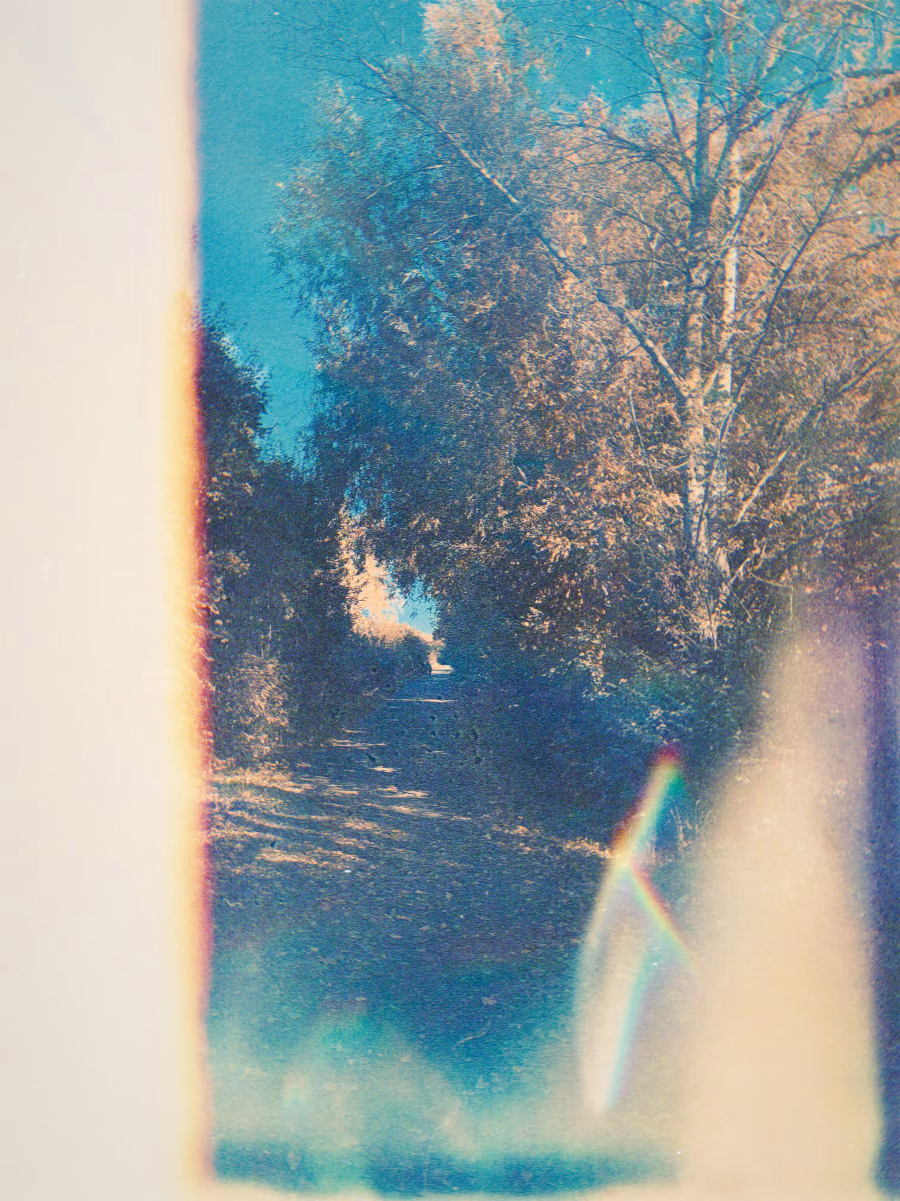 Walk