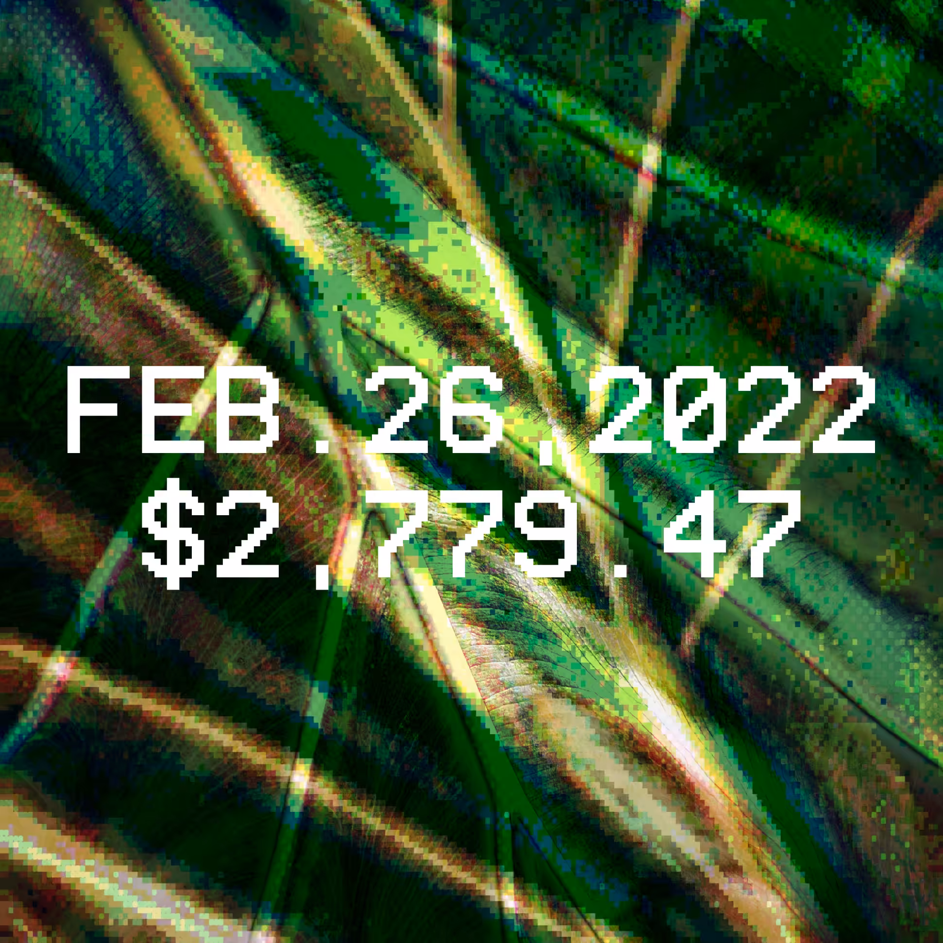 February 26