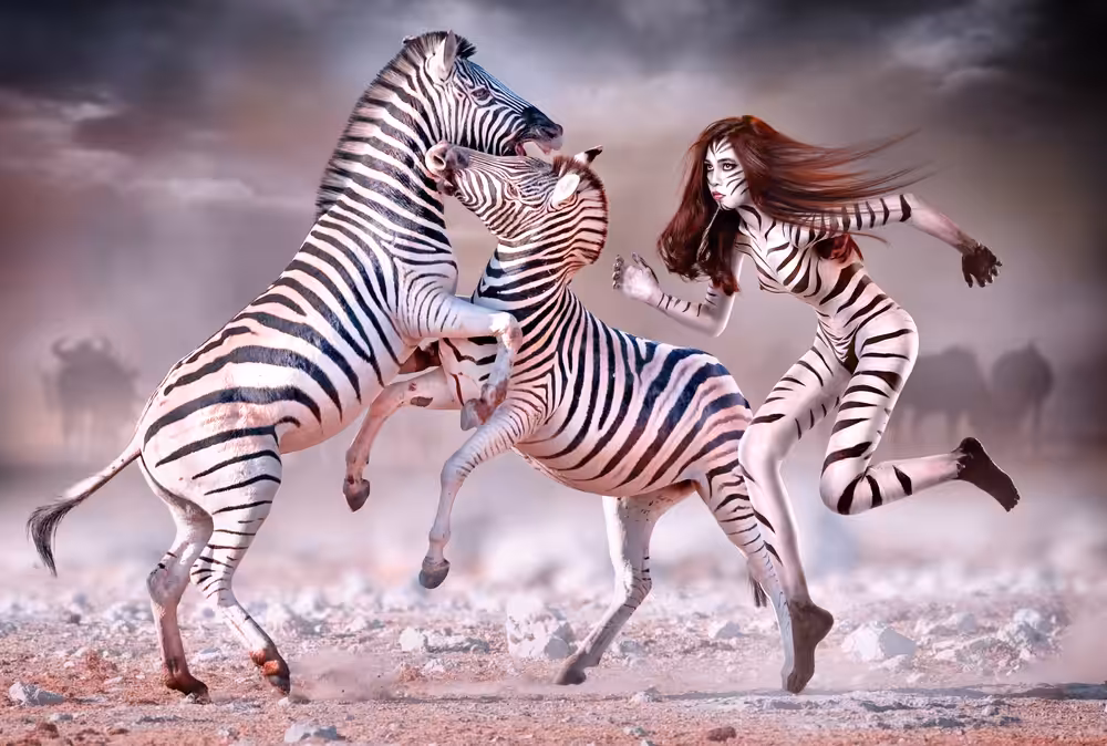 Living with the Zebras 1