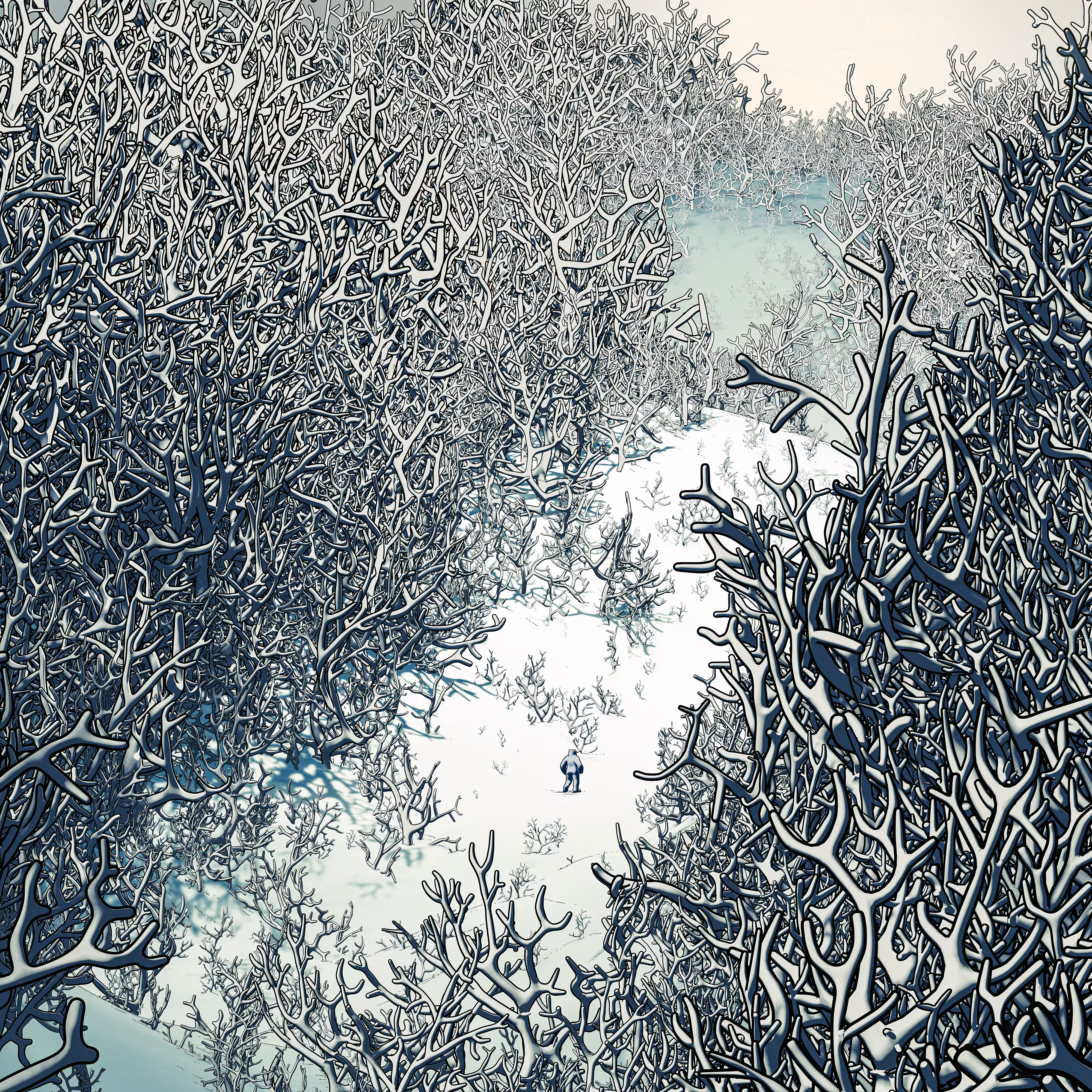 Corals land