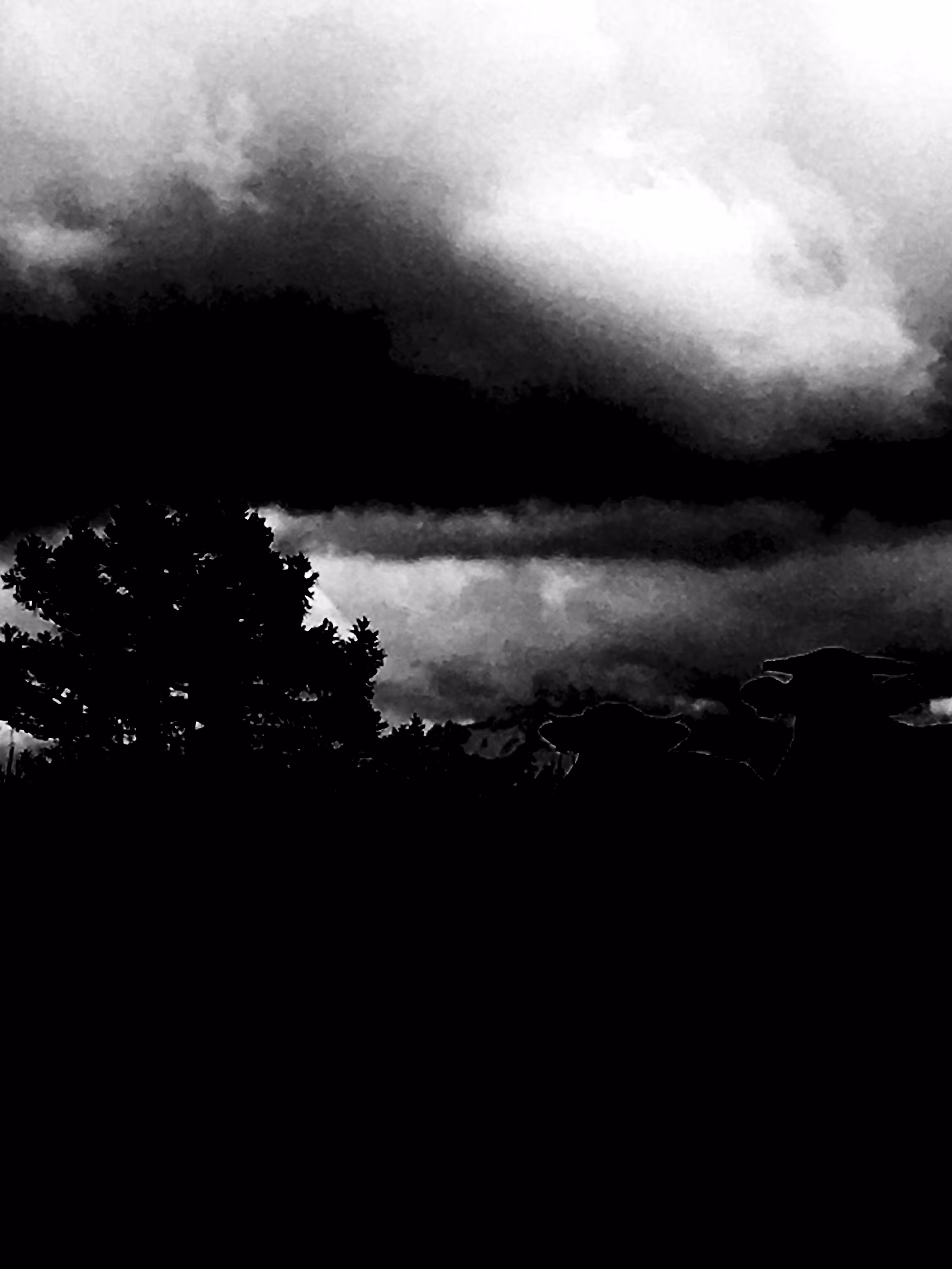 whiteBlack