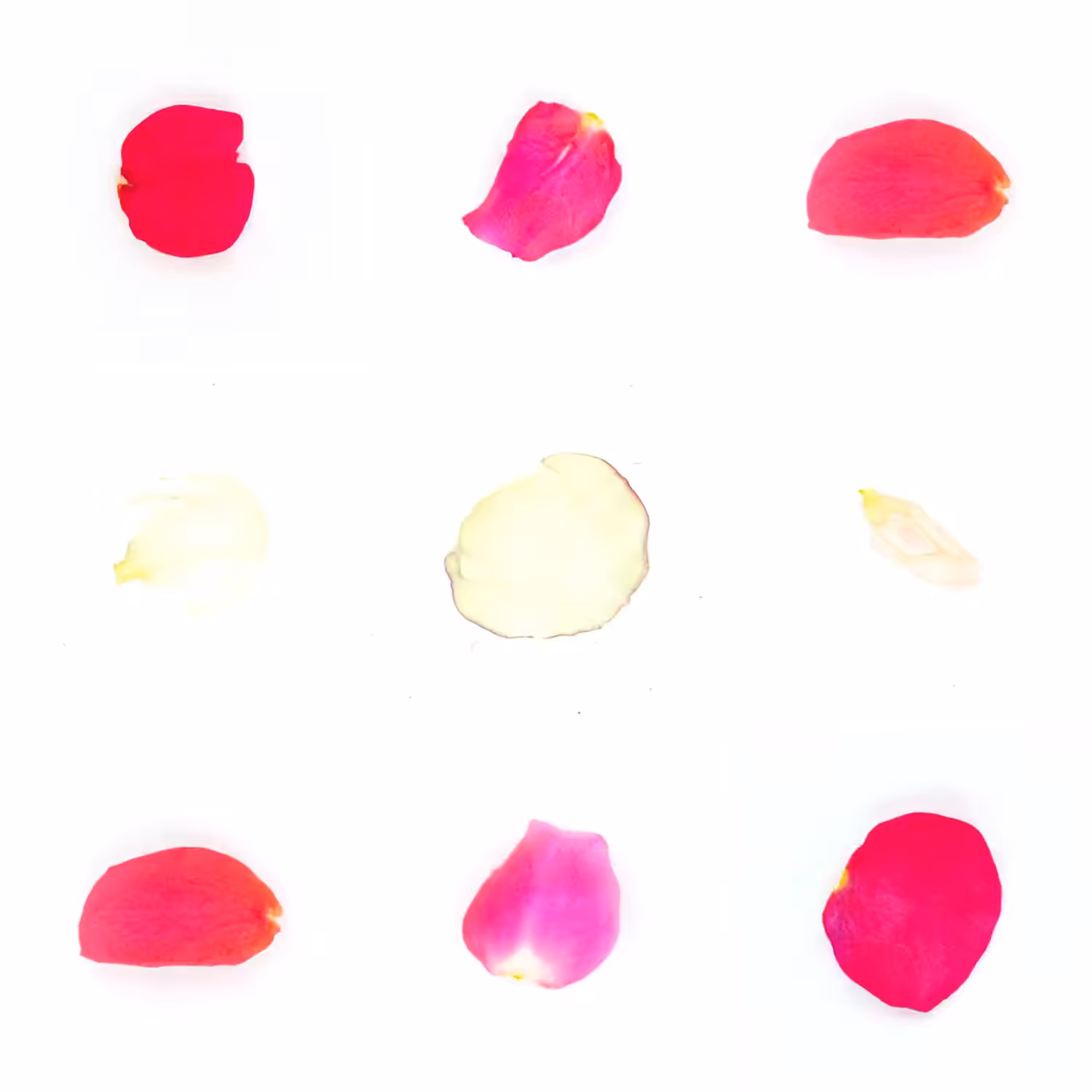 Infinite Petals 3x3#3214