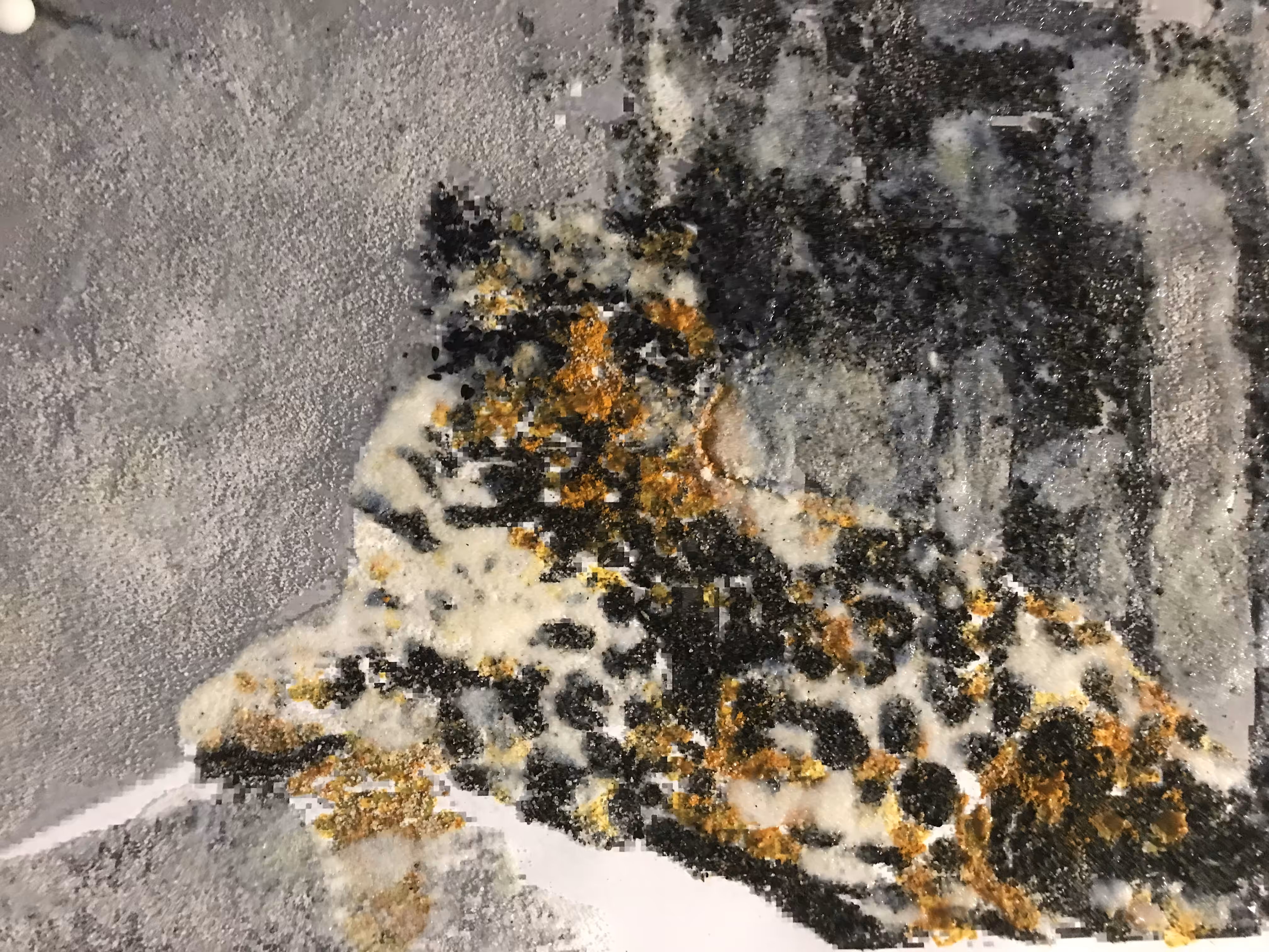 extinct- jaguar