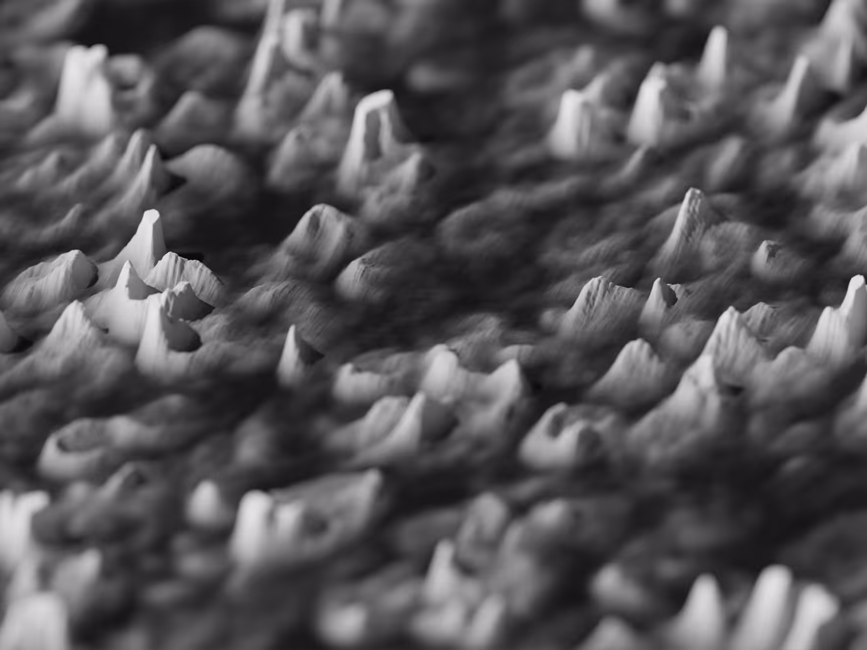 PHYSARUM LANDSCAPE #4