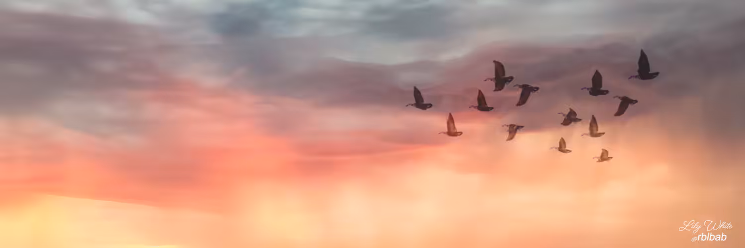Social Media Banner 18