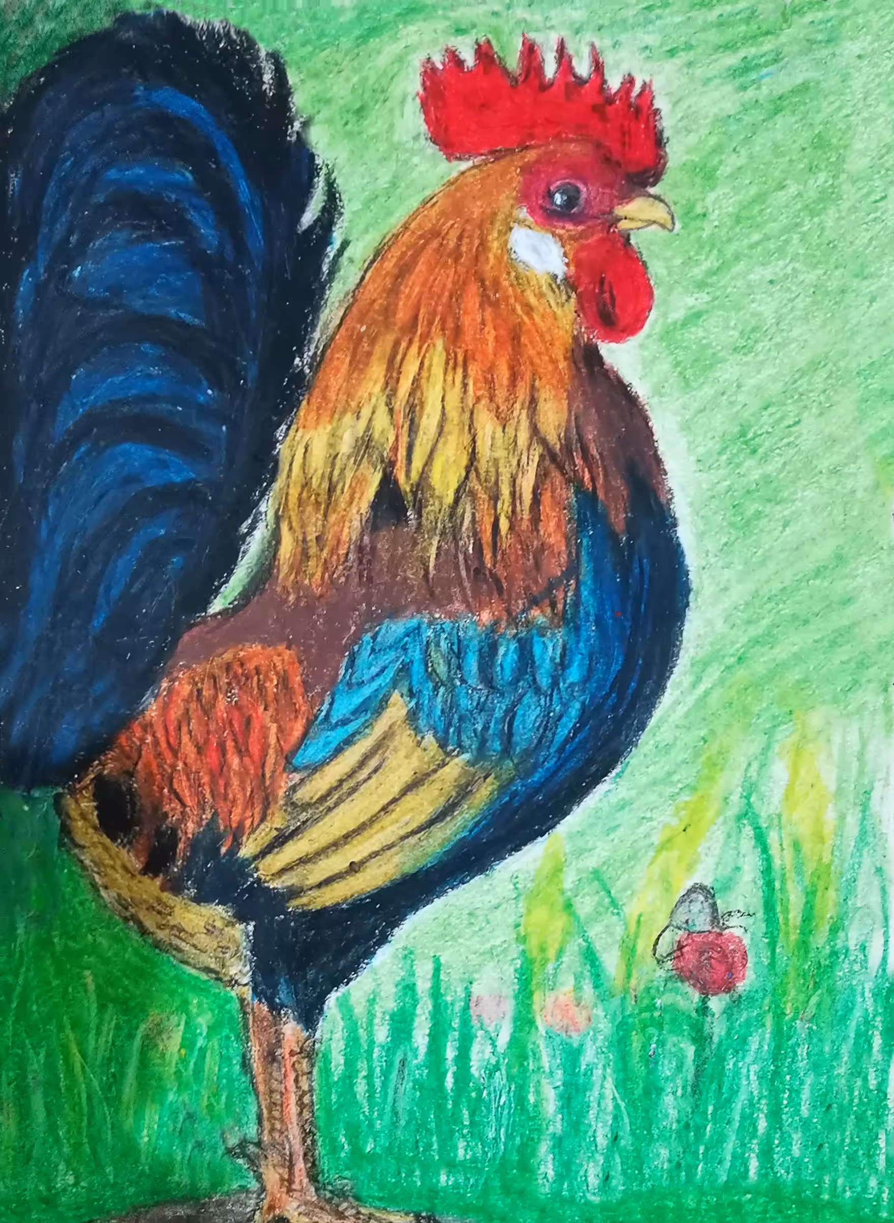 My Rooster