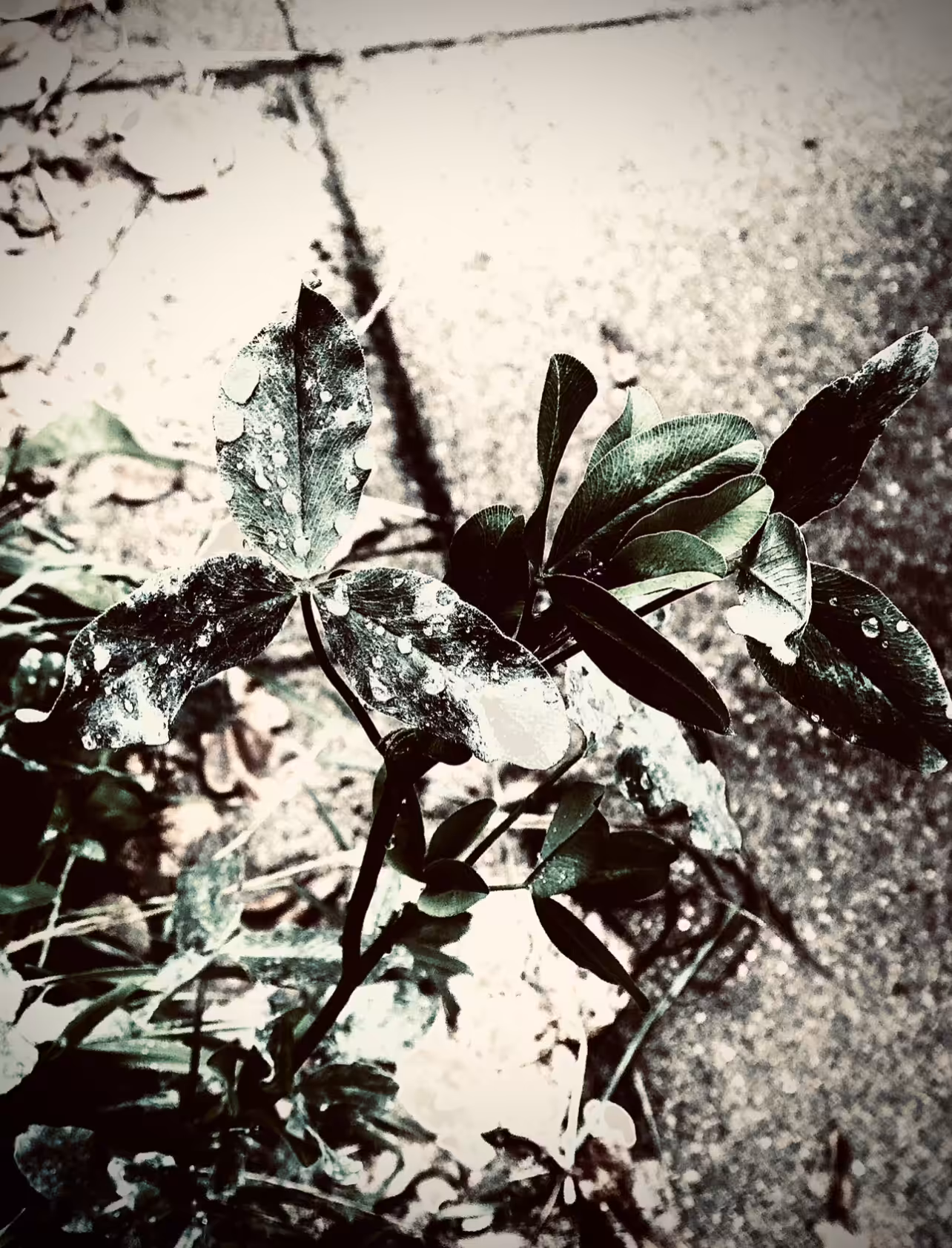 November