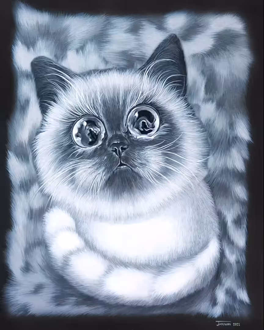 ROCKING CAT