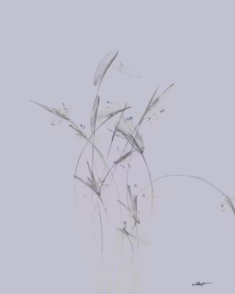 InBloom #165