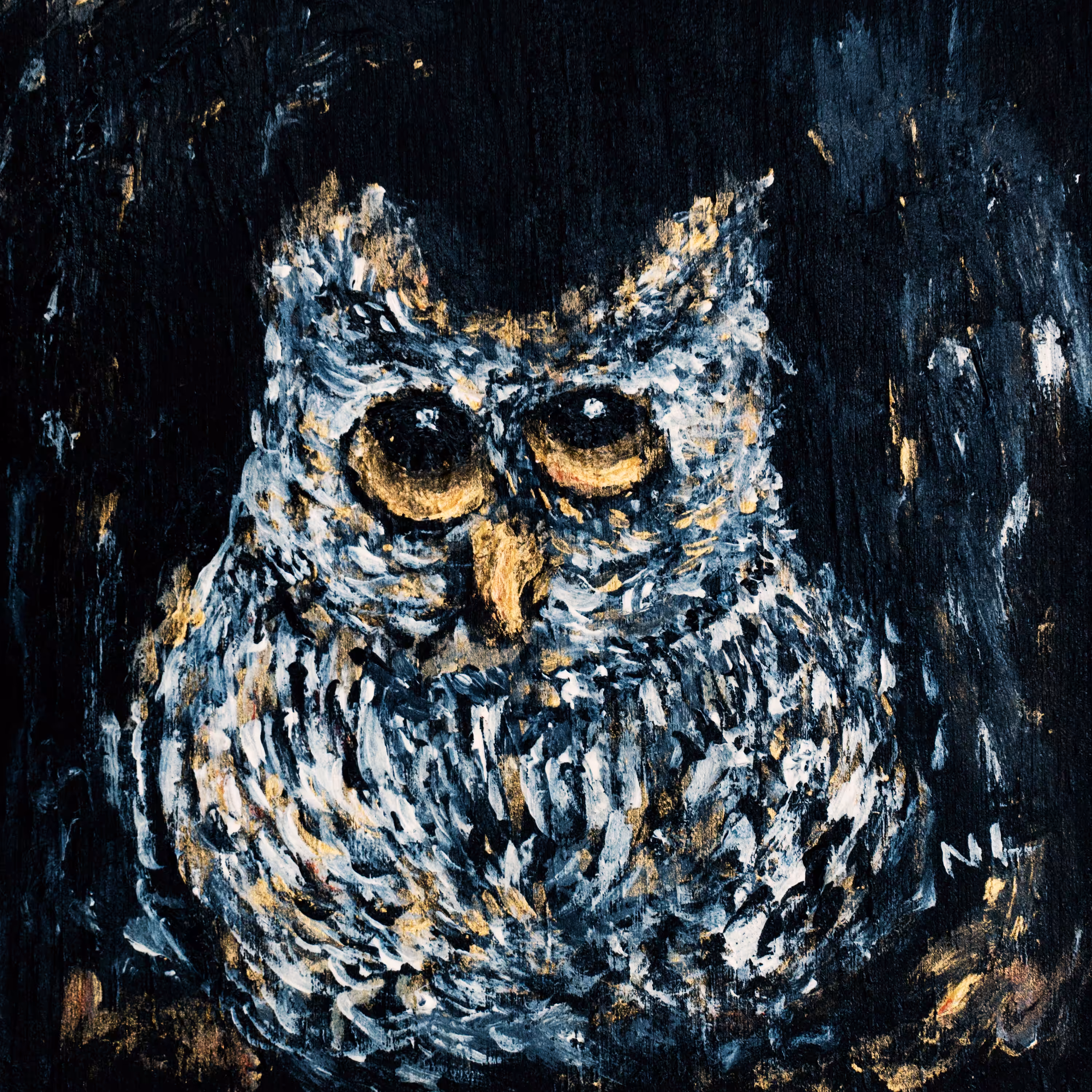 Confused owl