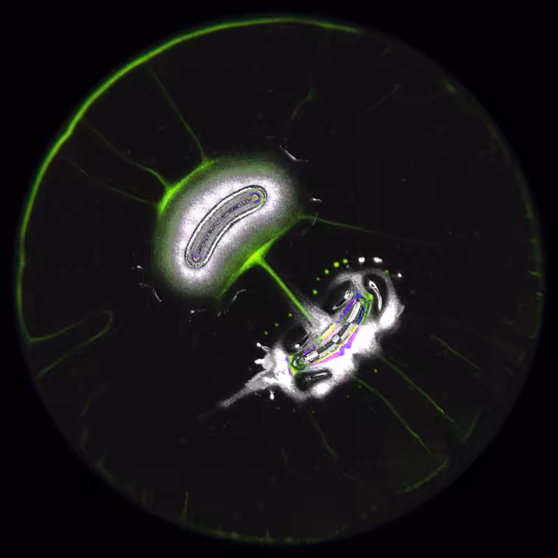 Ethereal Microcosm #49