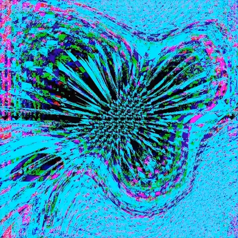 My Personal Field of Distortion