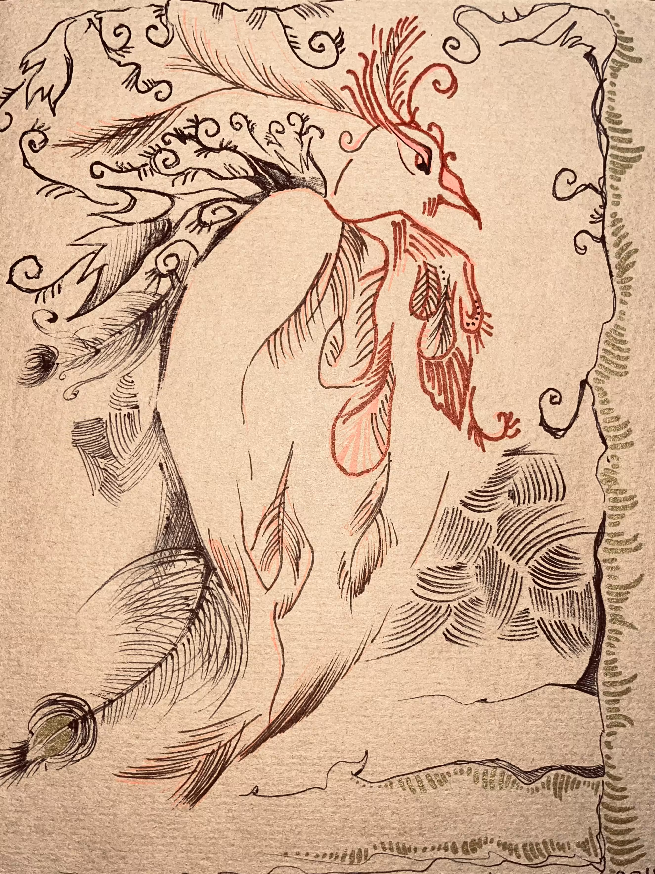 phoenix