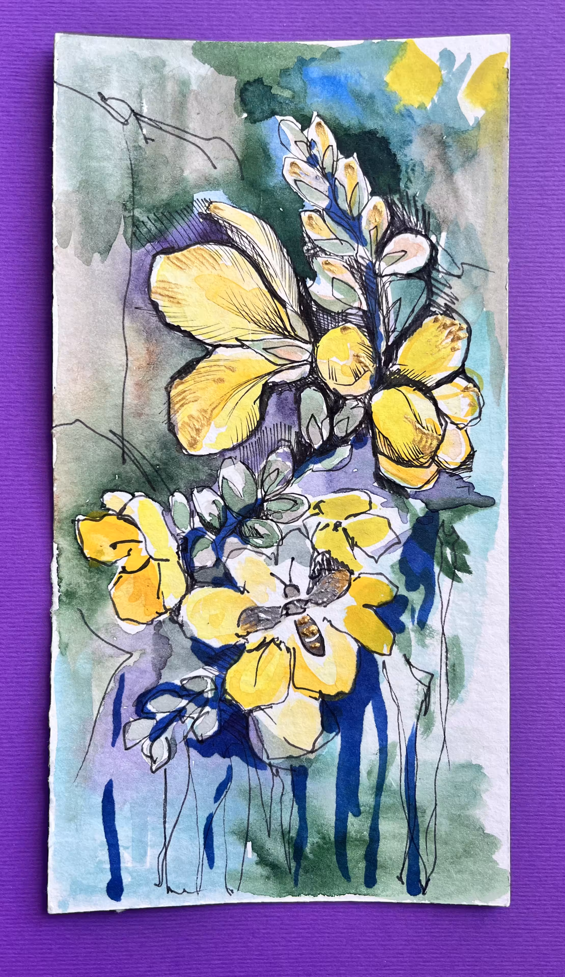 yellow mallows