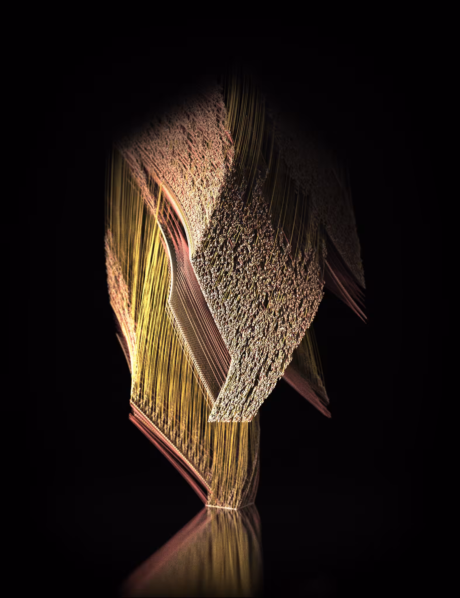 Chrysalis #41