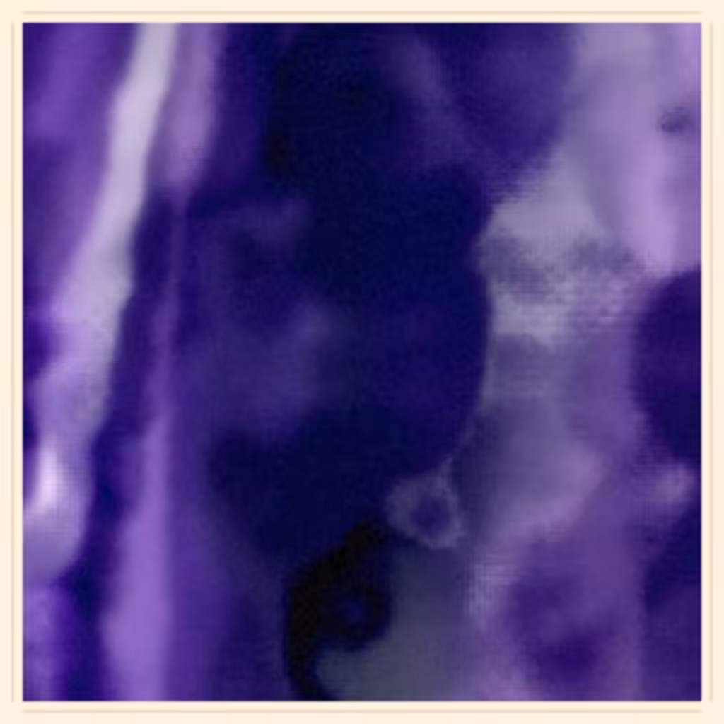 Figment #231