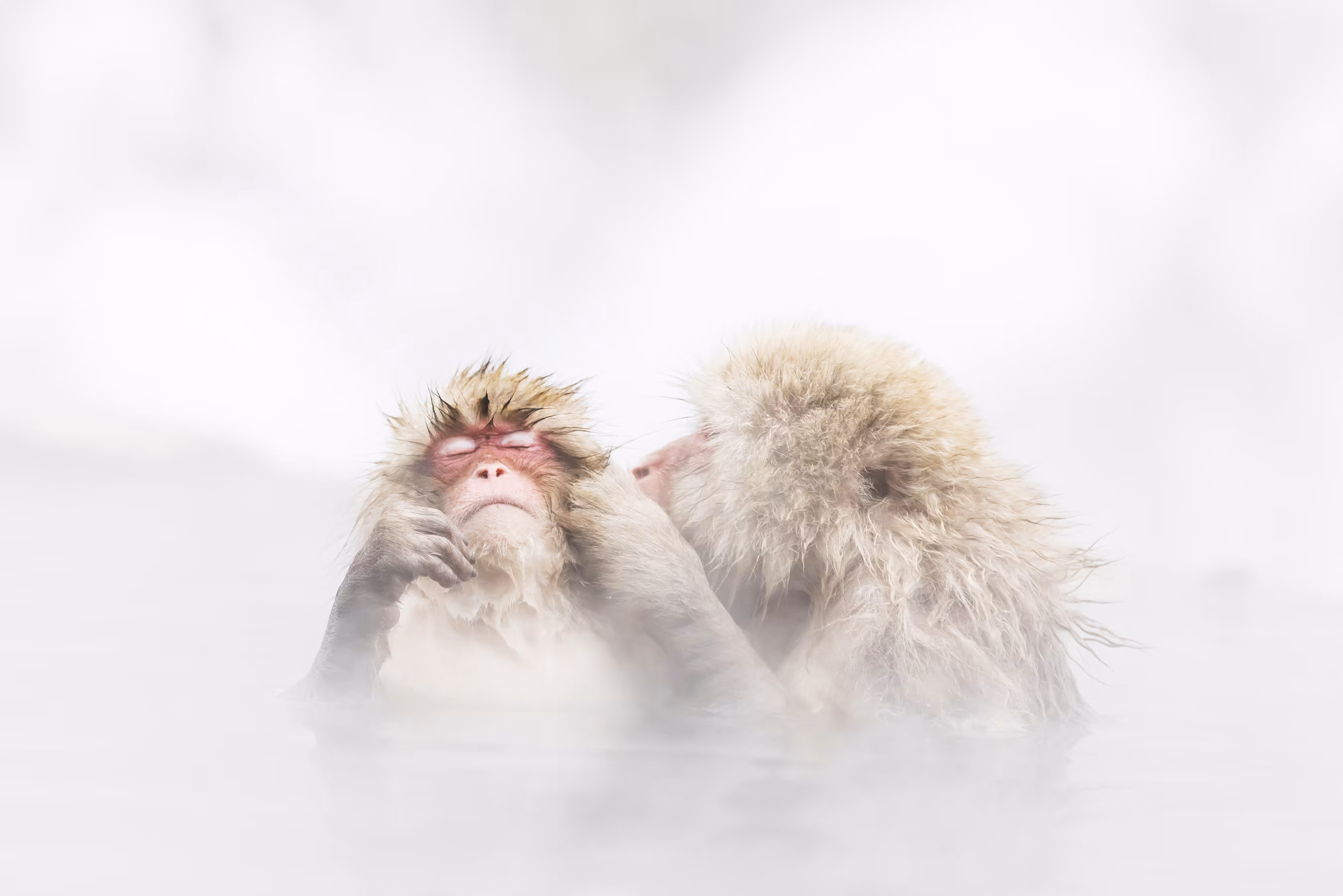 Hot Kiss