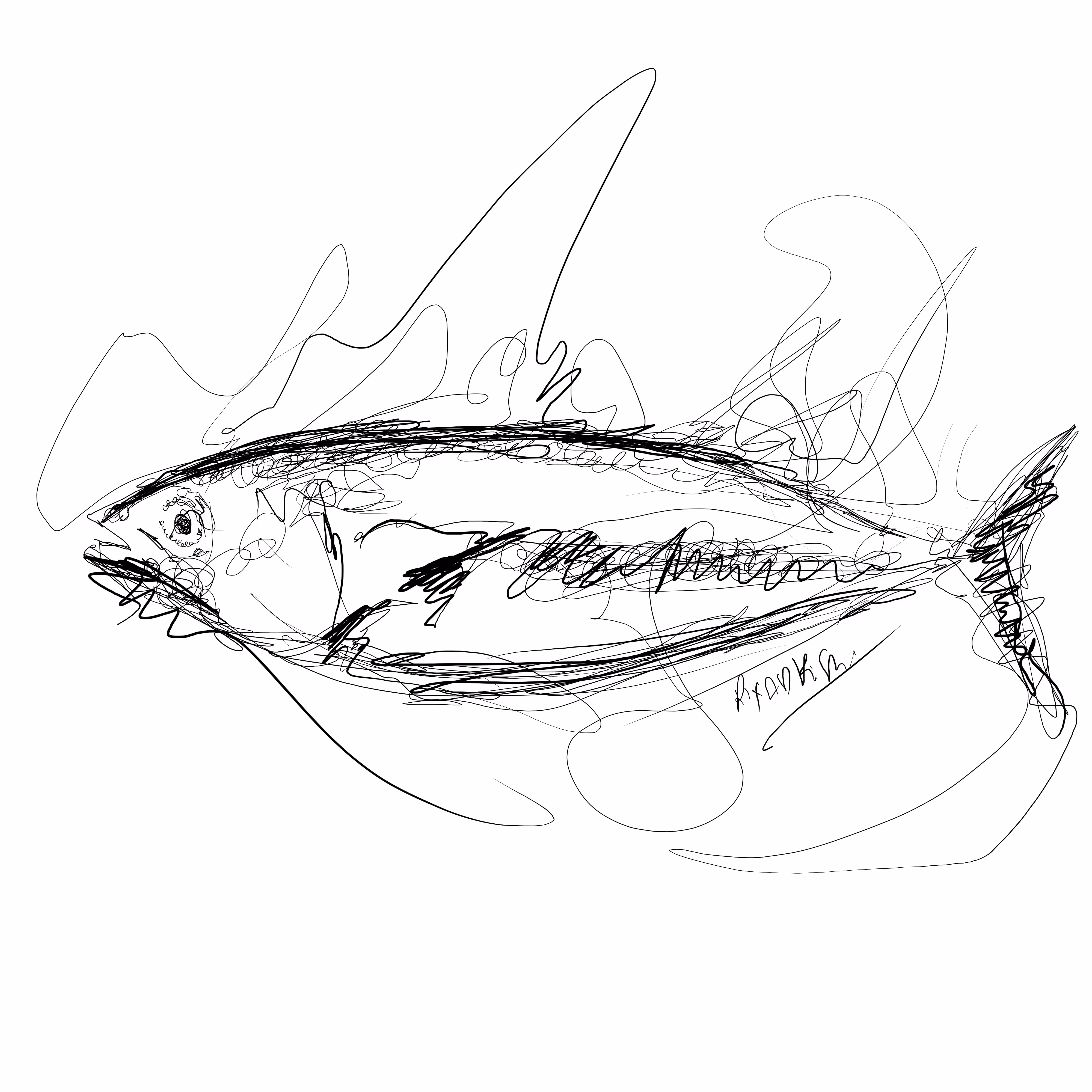 tuna 