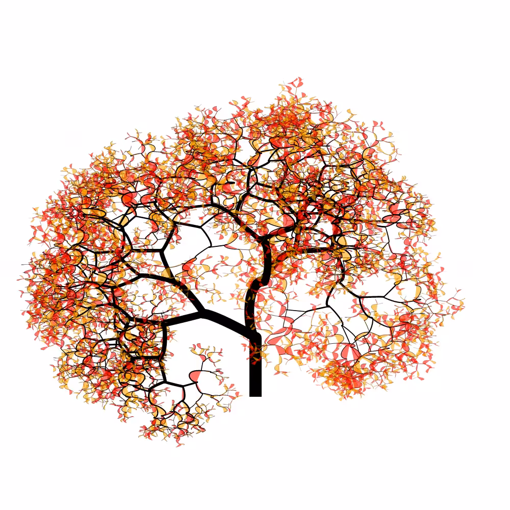 Bézier Bloom #95