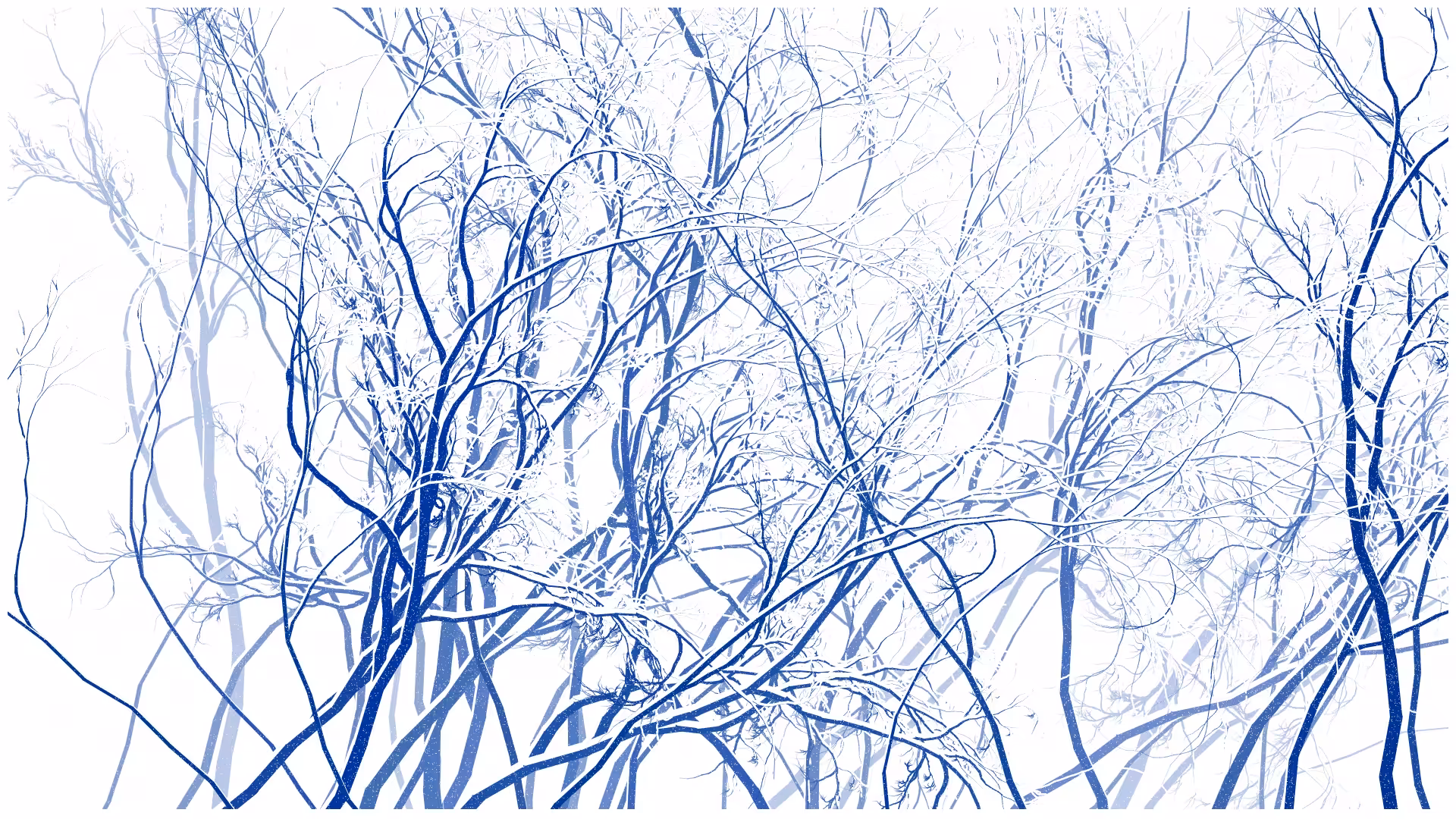 SCHNEEWALD #65