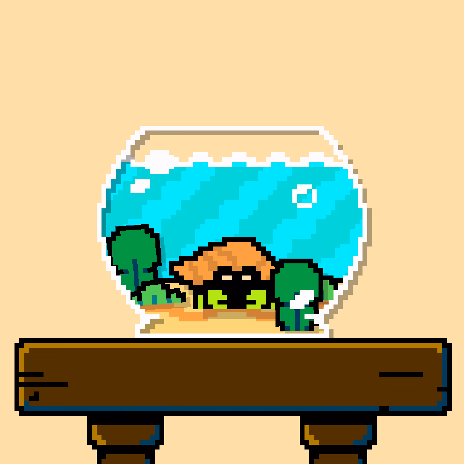 hermit crab #70