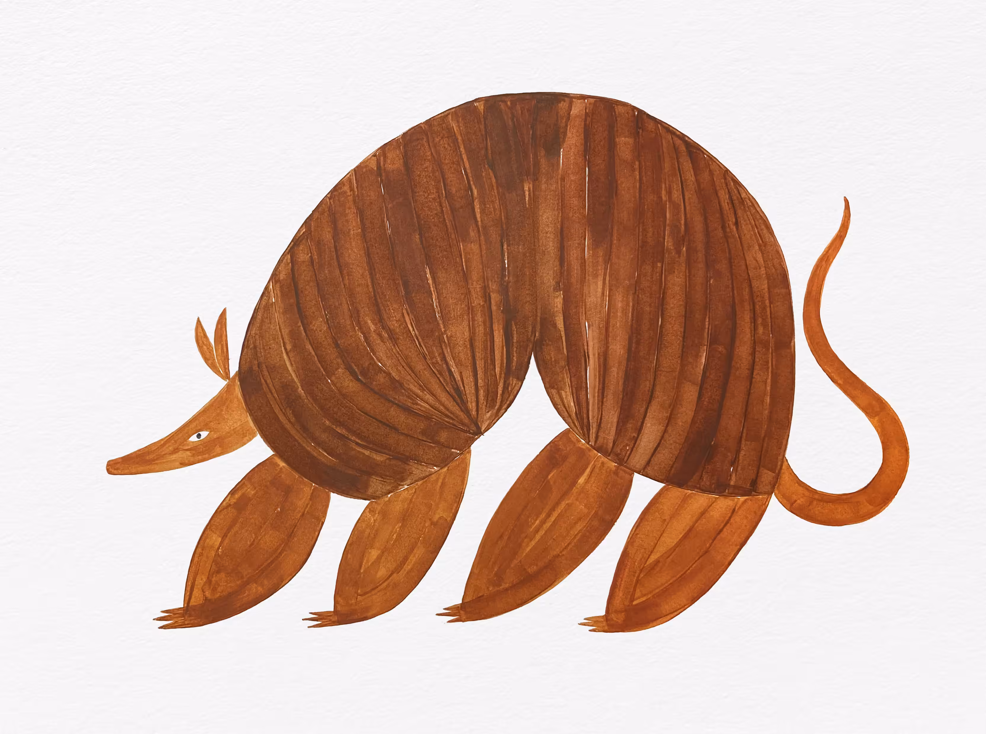 Day 15 - Armadillo