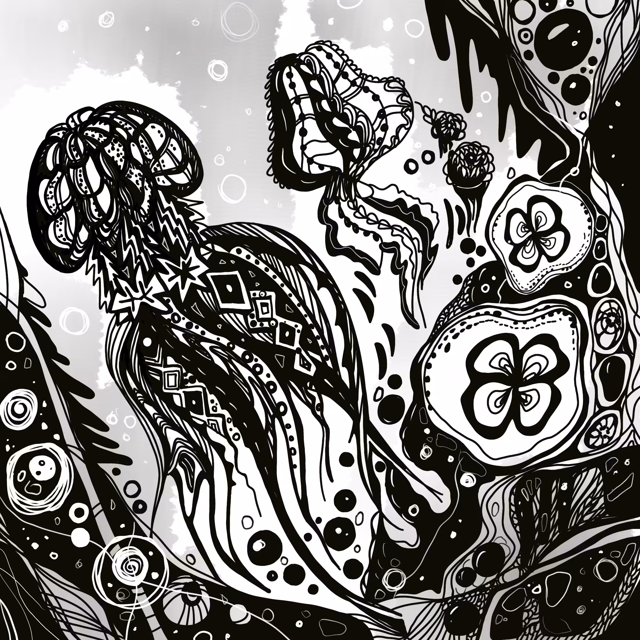 Jellyfishes