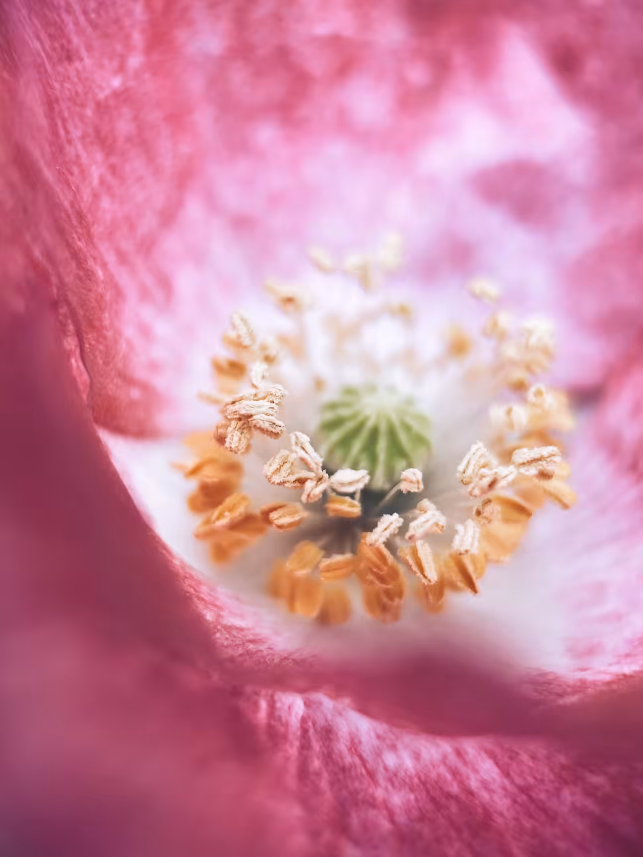 Something Pink
