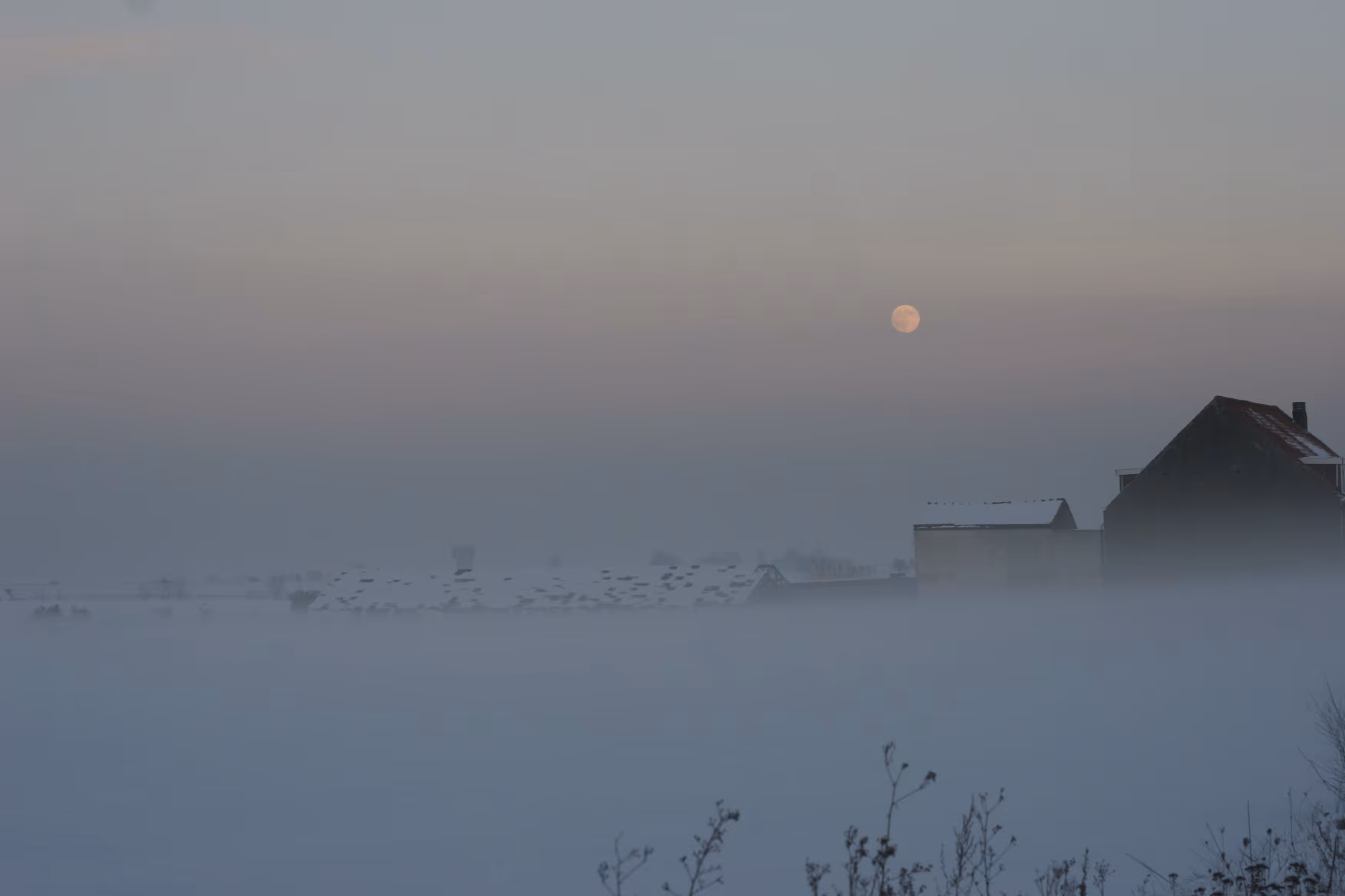 The Snow Moon
