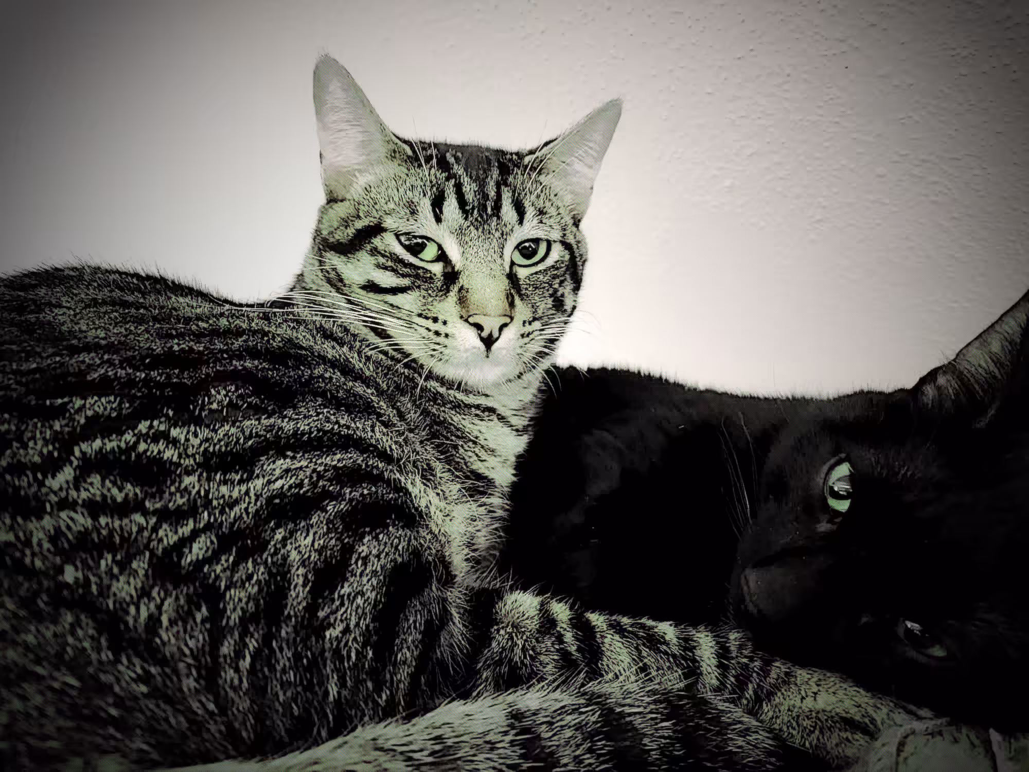 The Duo