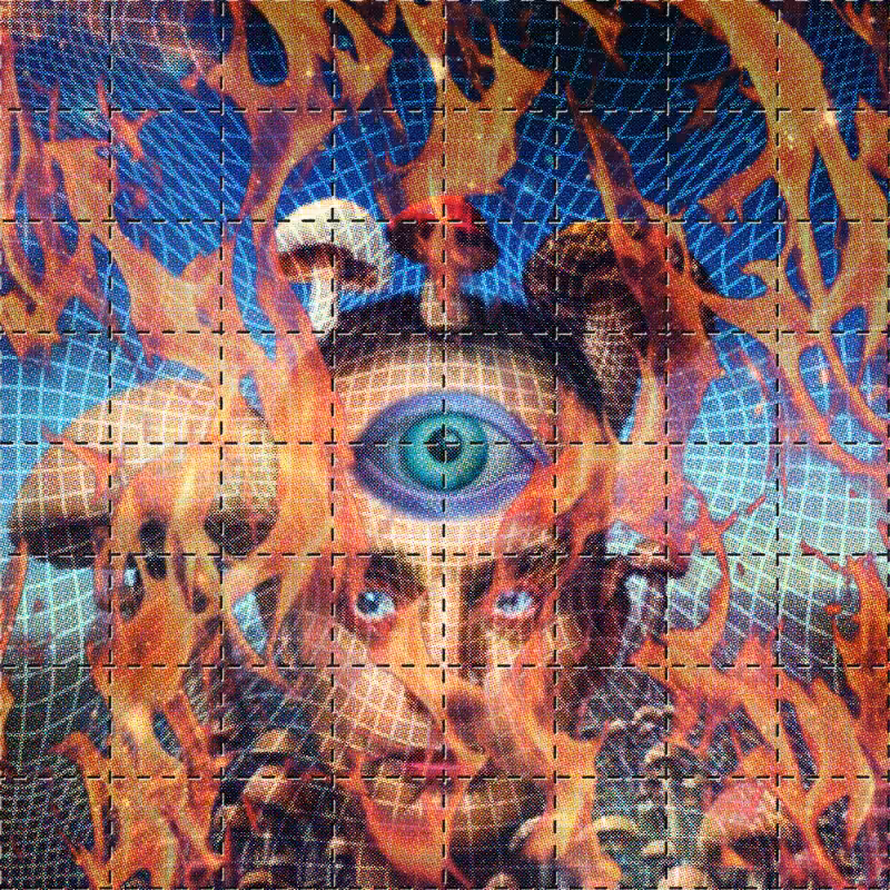 BLOTTER #20