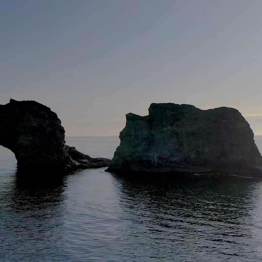 Sentinels of the Sea