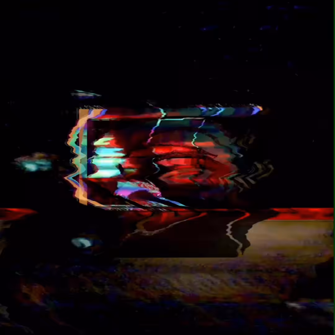 anima1+2-3.mp4
