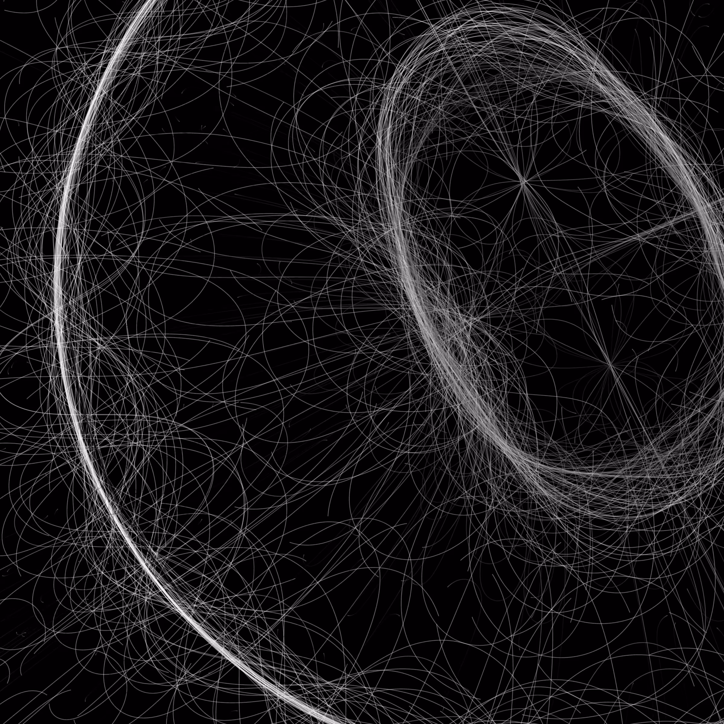 Phototaxis #819