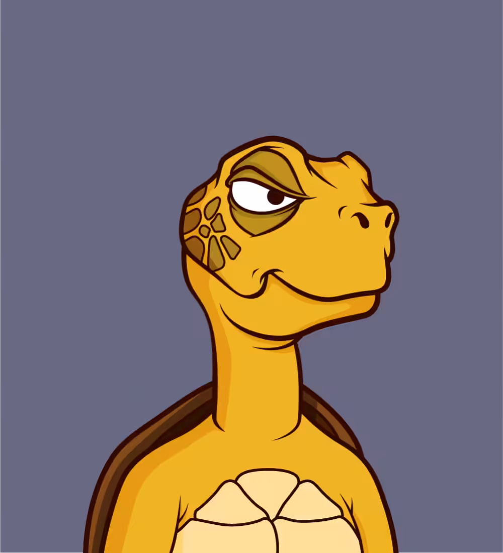 Tiny Turtle's: Tiny Turtle 100