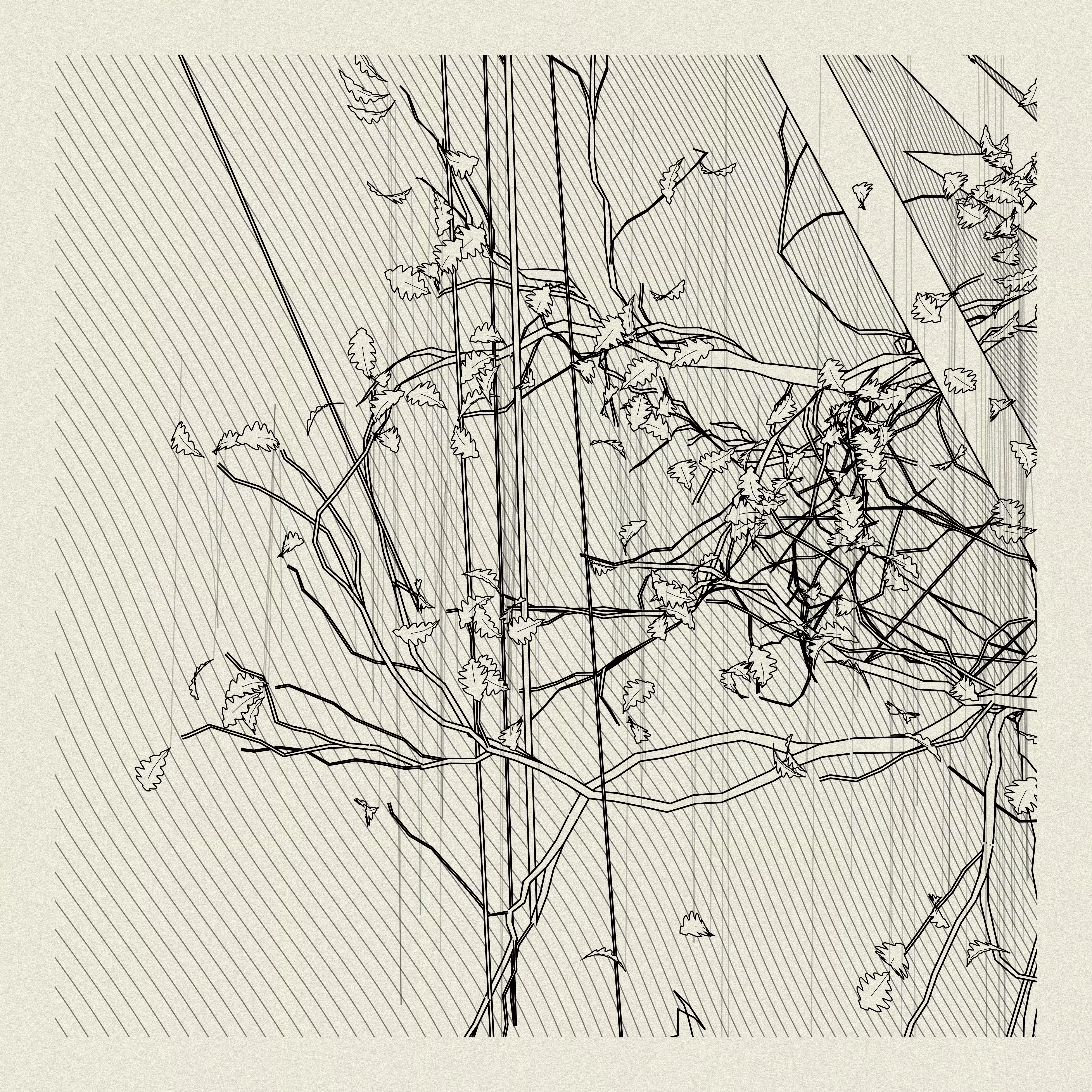 A Bugged Forest #117