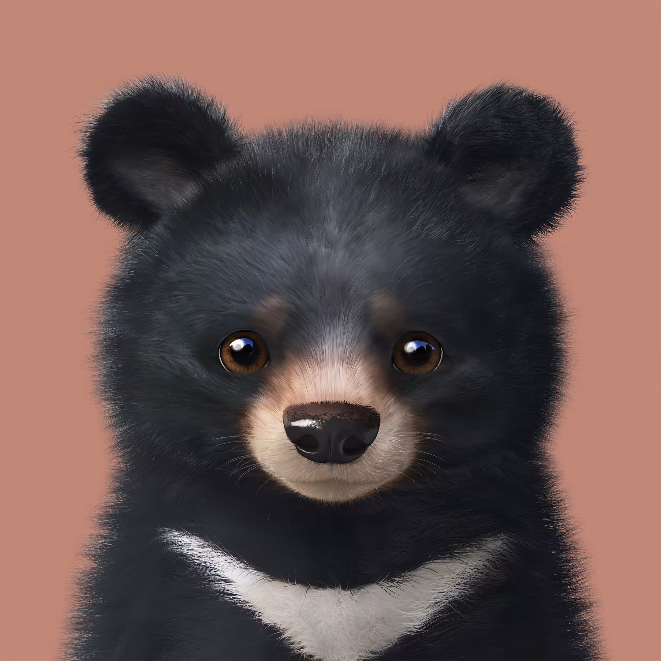 Sugar Cat & Candy Doggie: #339 Bandal the Aisan Black Bear