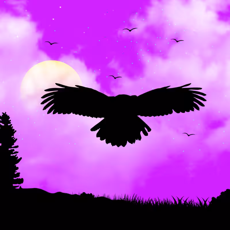 We Care...Owl #15