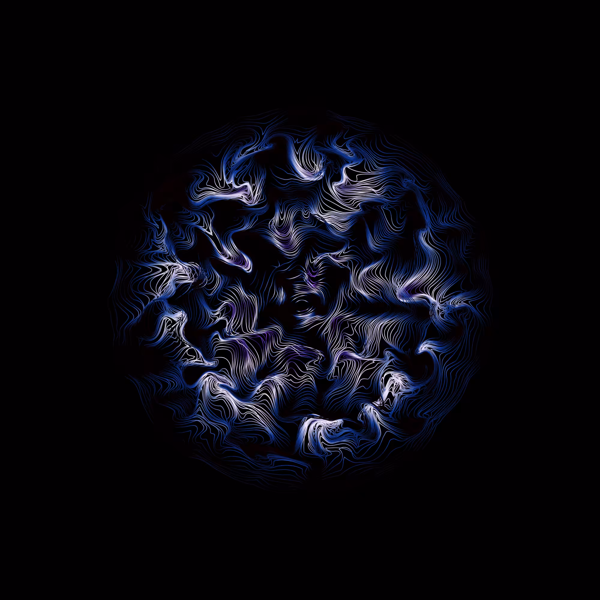 Perception #41