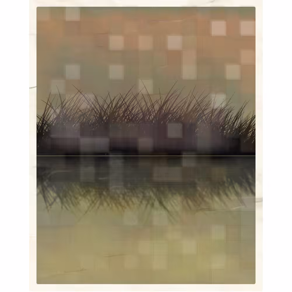 Self-reflection #51