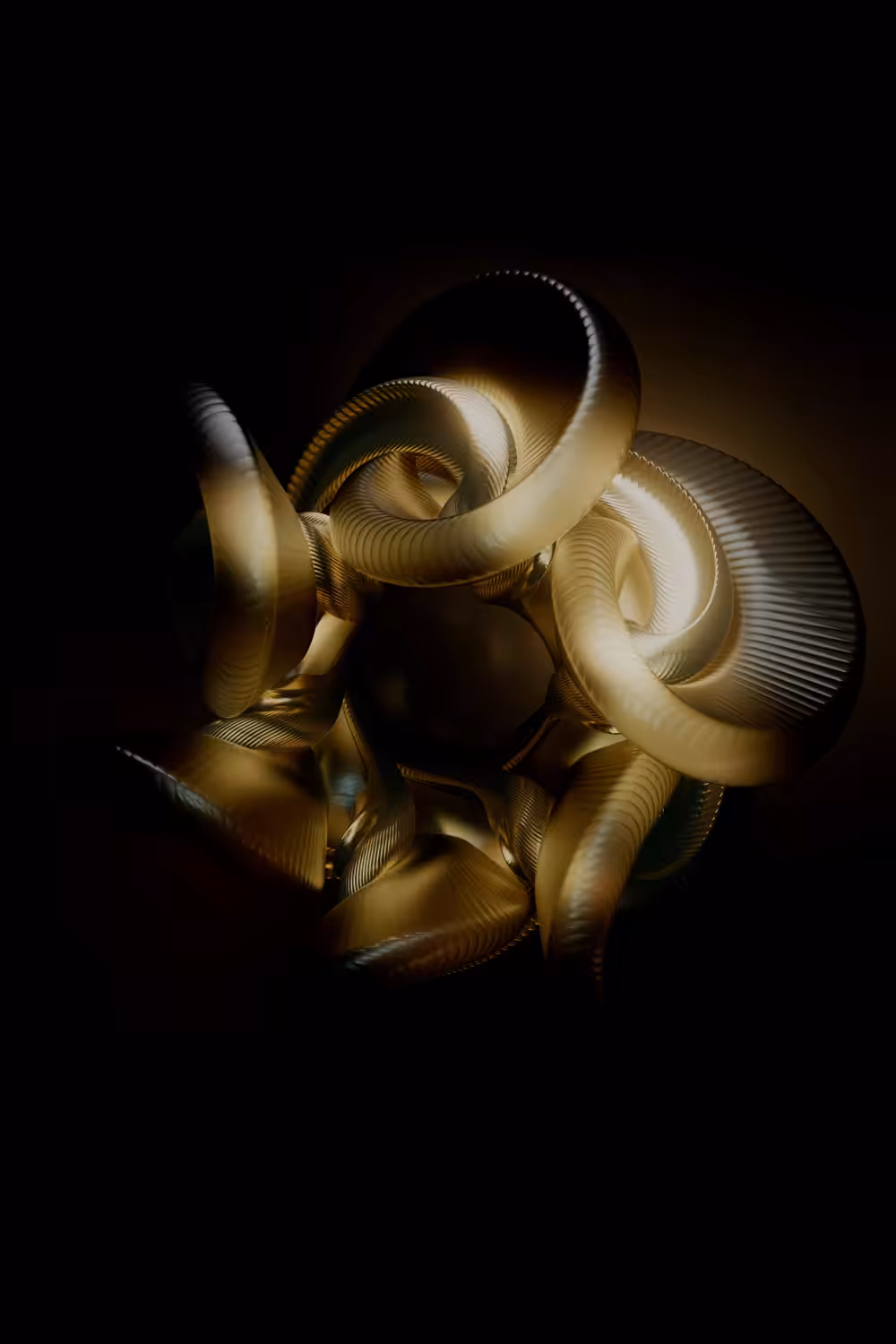 PATRIC ORTMANN: DO·RIDO·IDEA