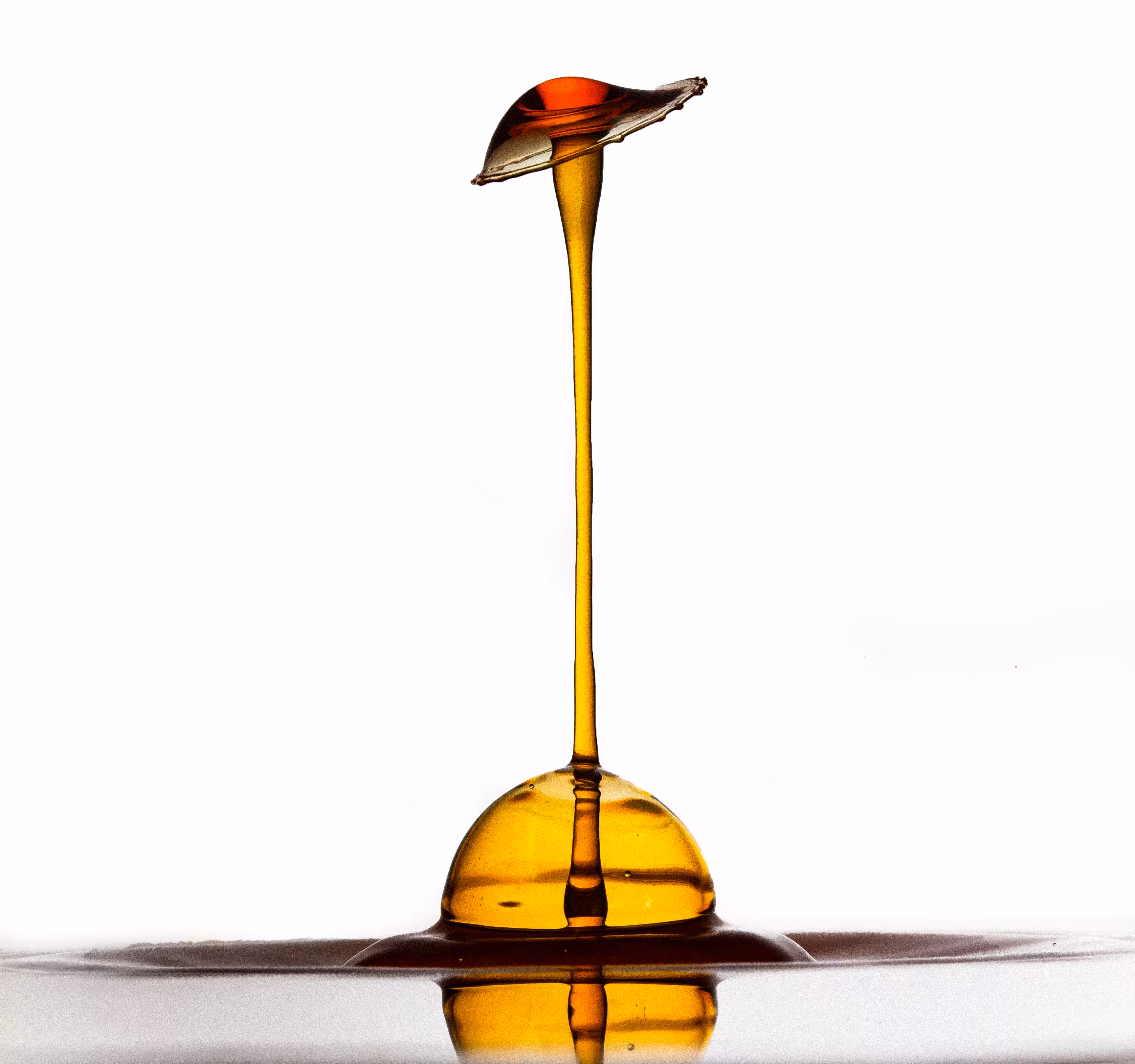 Long Neck