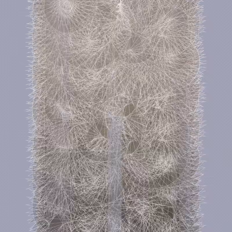 Braids/burdens #66
