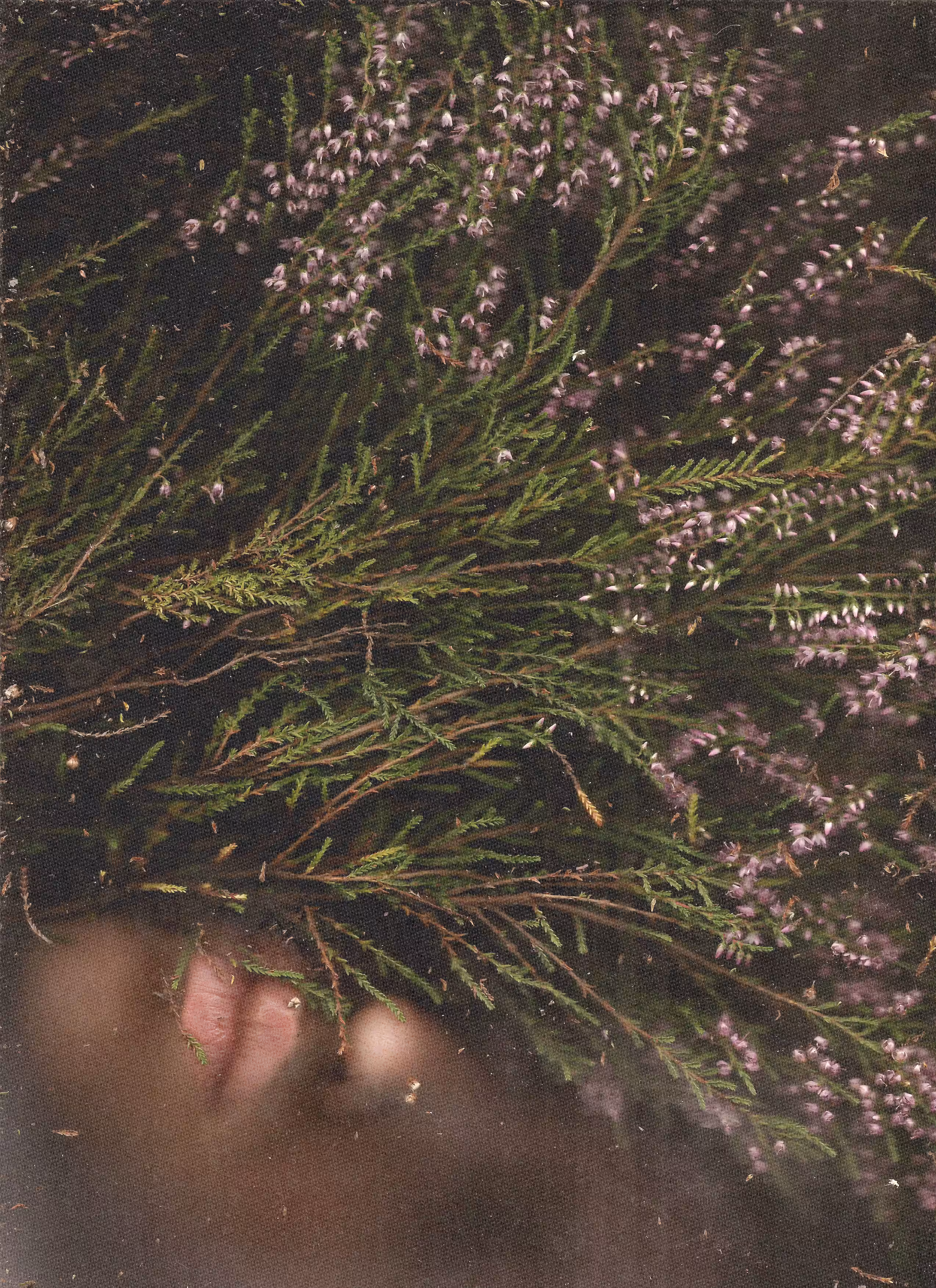 Scanography poster: Heather